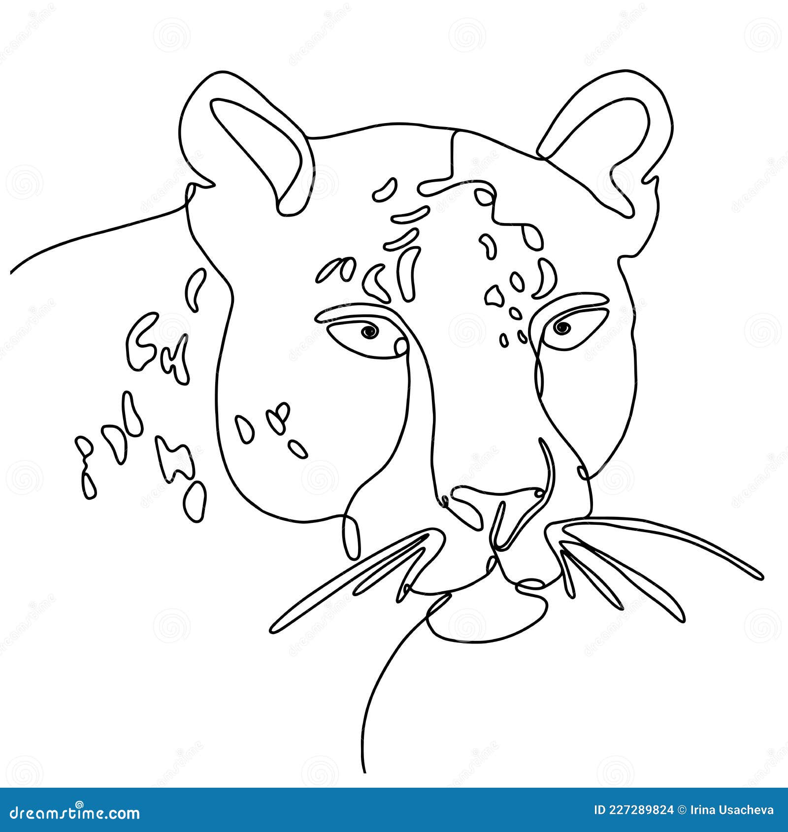 Dibujo De Una Línea De La Cabeza De Carnívoro. Cara Lineal De Un Gato  Salvaje. Retrato De Arte De Línea De Leopardo Ilustración del Vector -  Ilustración de creativo, hermoso: 227289824