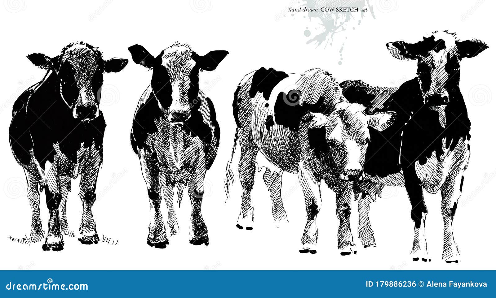 Dibujo De Vaca Ilustración De Vaca Reproductora Ganadería Ganado Serie De  Animales De Granja Stock de ilustración - Ilustración de arte, vendimia:  179886236