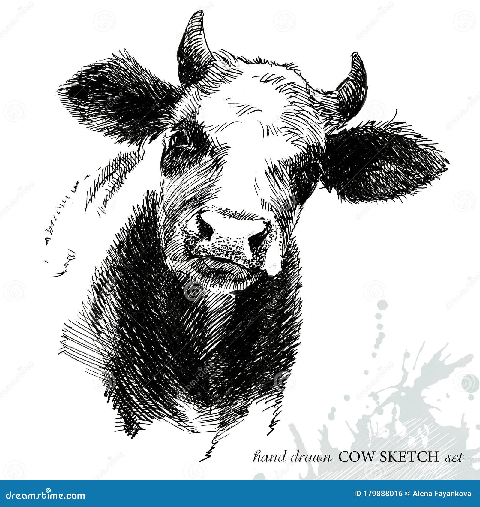 Dibujo De Vaca Ilustración De Vaca Reproductora Ganadería Ganado Serie De  Animales De Granja Stock de ilustración - Ilustración de alimento,  travieso: 179888016