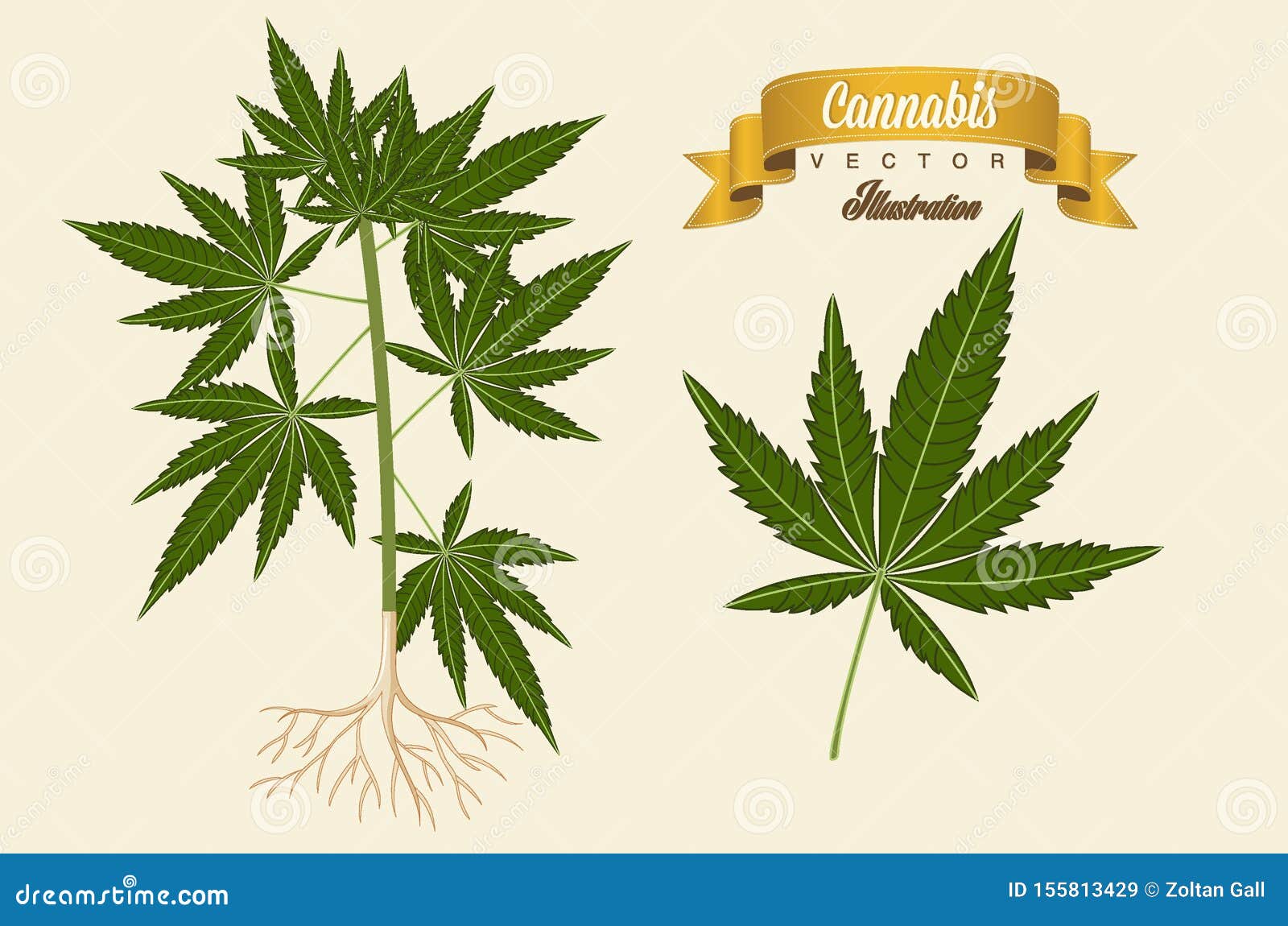 Dibujo De Vector Vegetal De Cannabis En Estilo Caricaturista Ilustración  del Vector - Ilustración de humo, aislado: 155813429