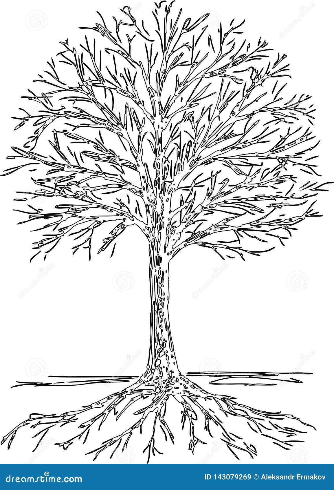 pic Silueta Arbol Para Colorear Con Raices dibujo del contorno de una silueta del