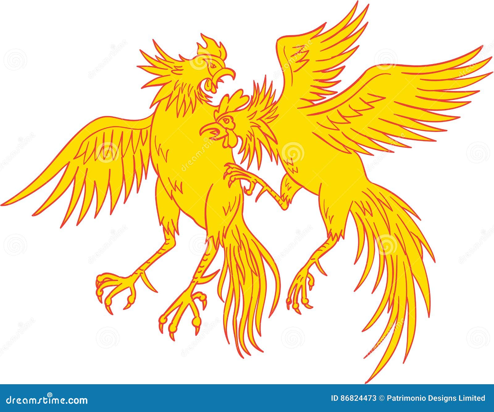 Dibujo Del Pollo De Los Gallos De La Pelea De Gallos Ilustración del Vector  - Ilustración de gallo, mano: 86824473
