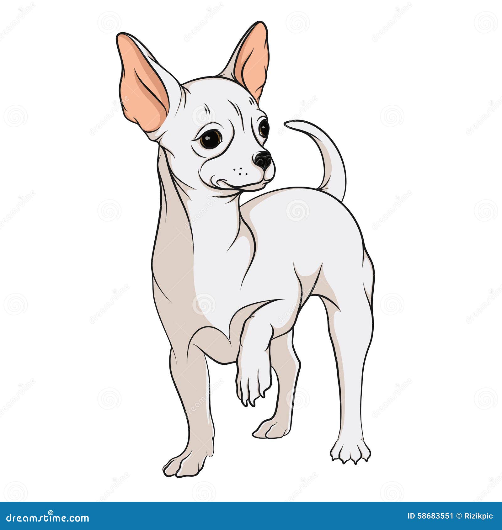 Dibujo Del Vector De Una Chihuahua Objetos Aislados En Un Fondo Blanco  Ilustración del Vector - Ilustración de trazado, perro: 58683551