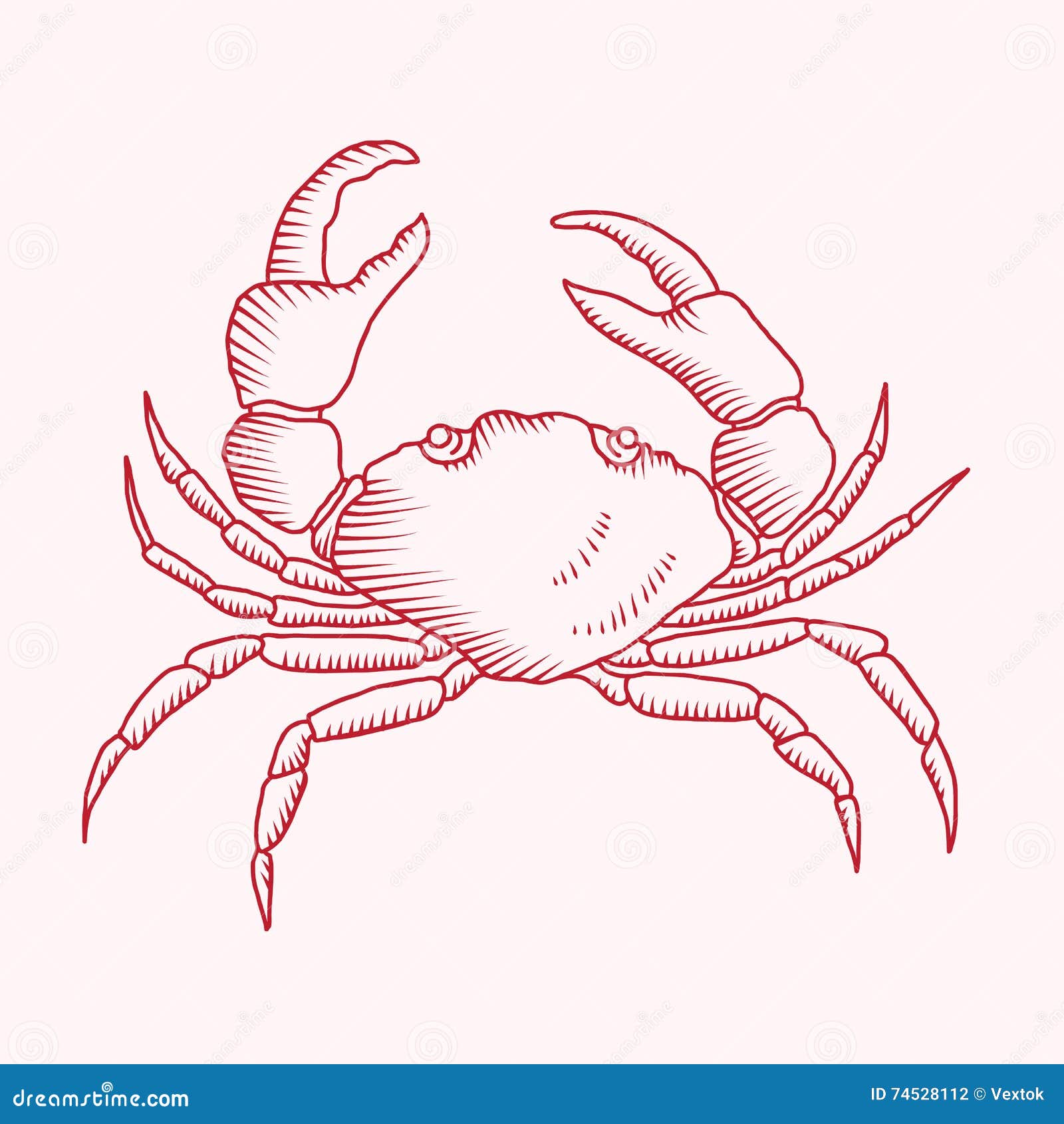 My Image 8