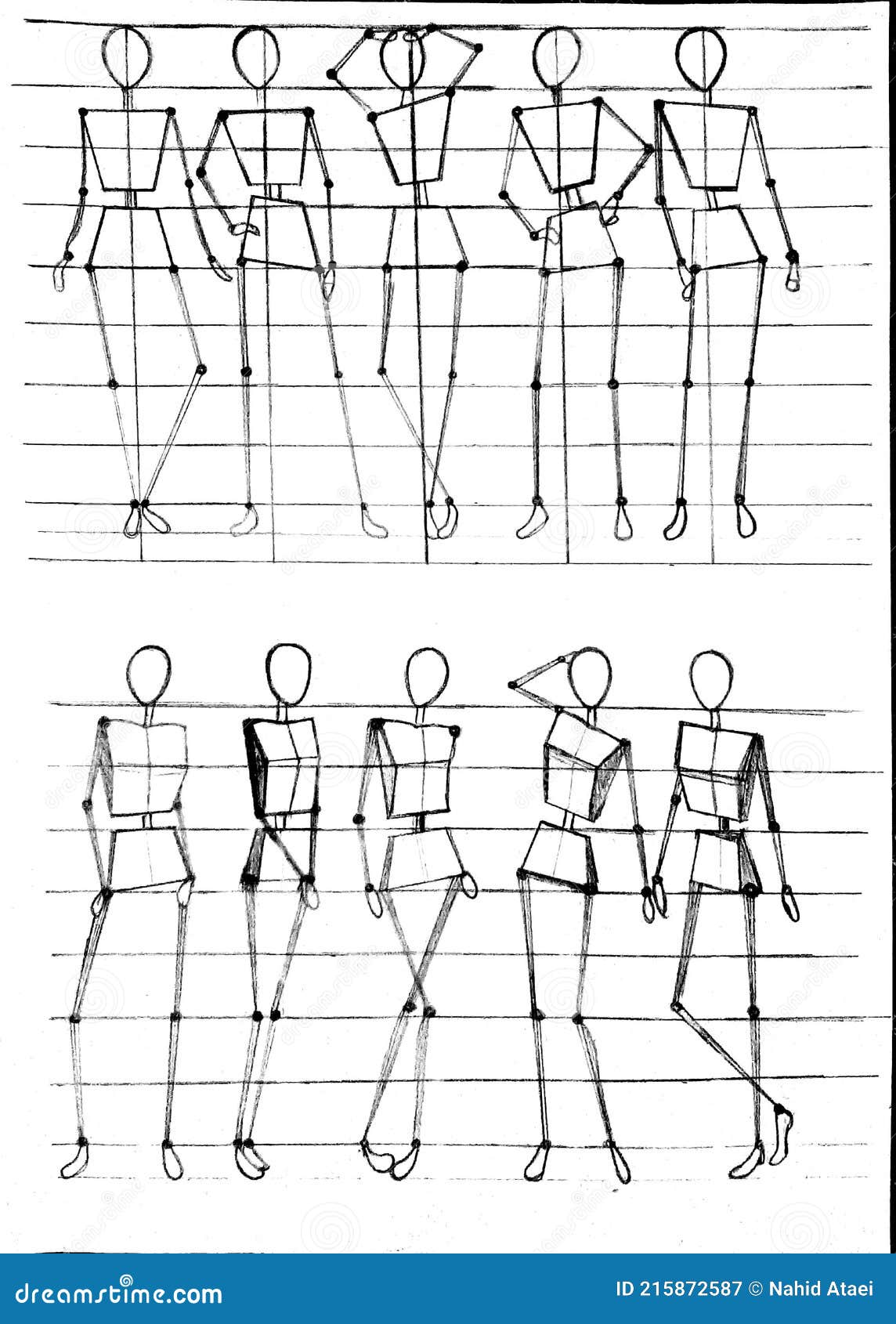 Dibujo En Línea De La Anatomía Del Cuerpo Humano Más Una Mujer Stock de  ilustración - Ilustración de pera, rojo: 215872587