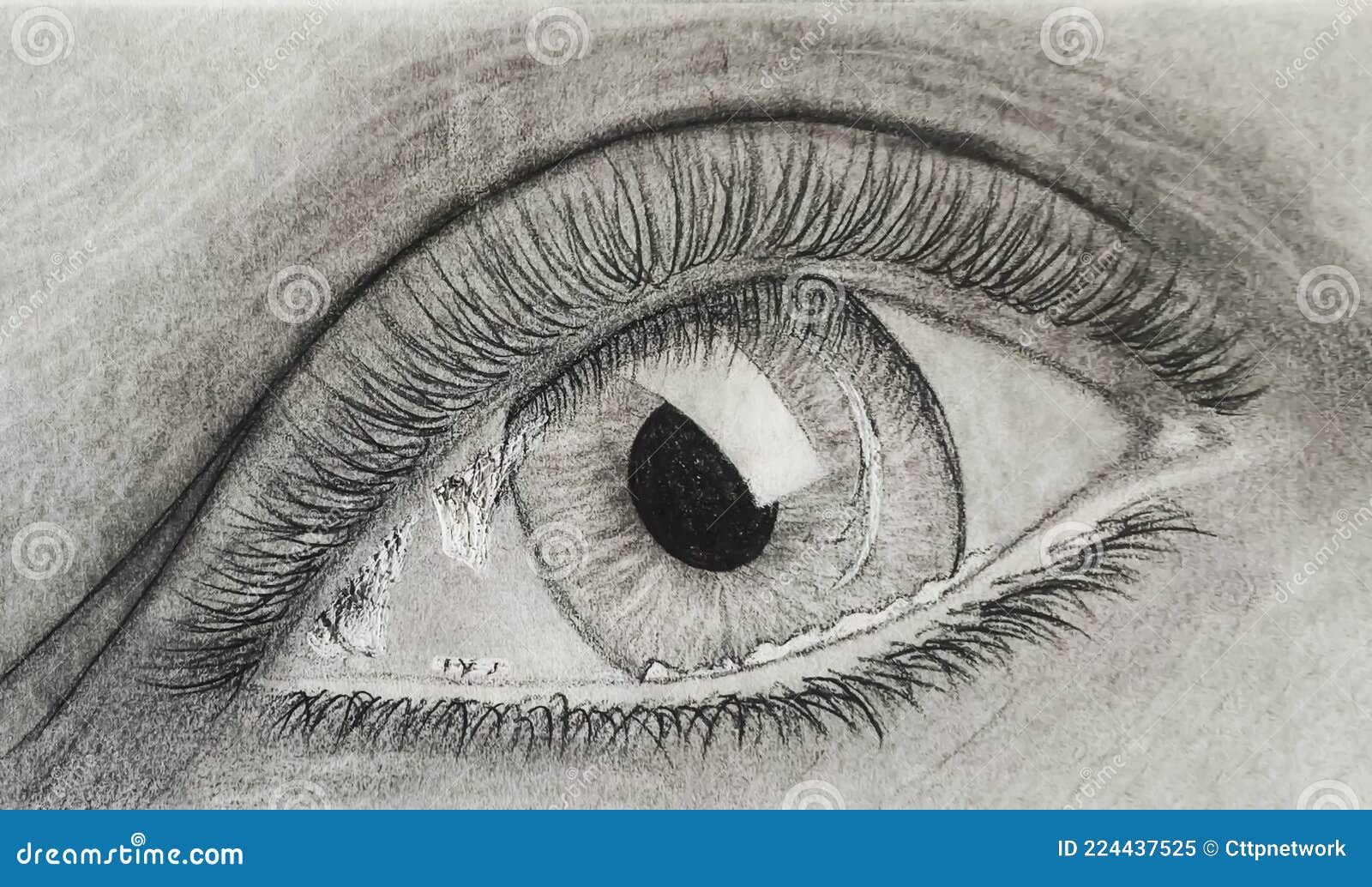 Dibujo a Lápiz De Un Ojo Con Brillo único En El Lente. Arte Visual Moderno  En Blanco Y Negro Stock de ilustración - Ilustración de negro, salvaje:  224437525