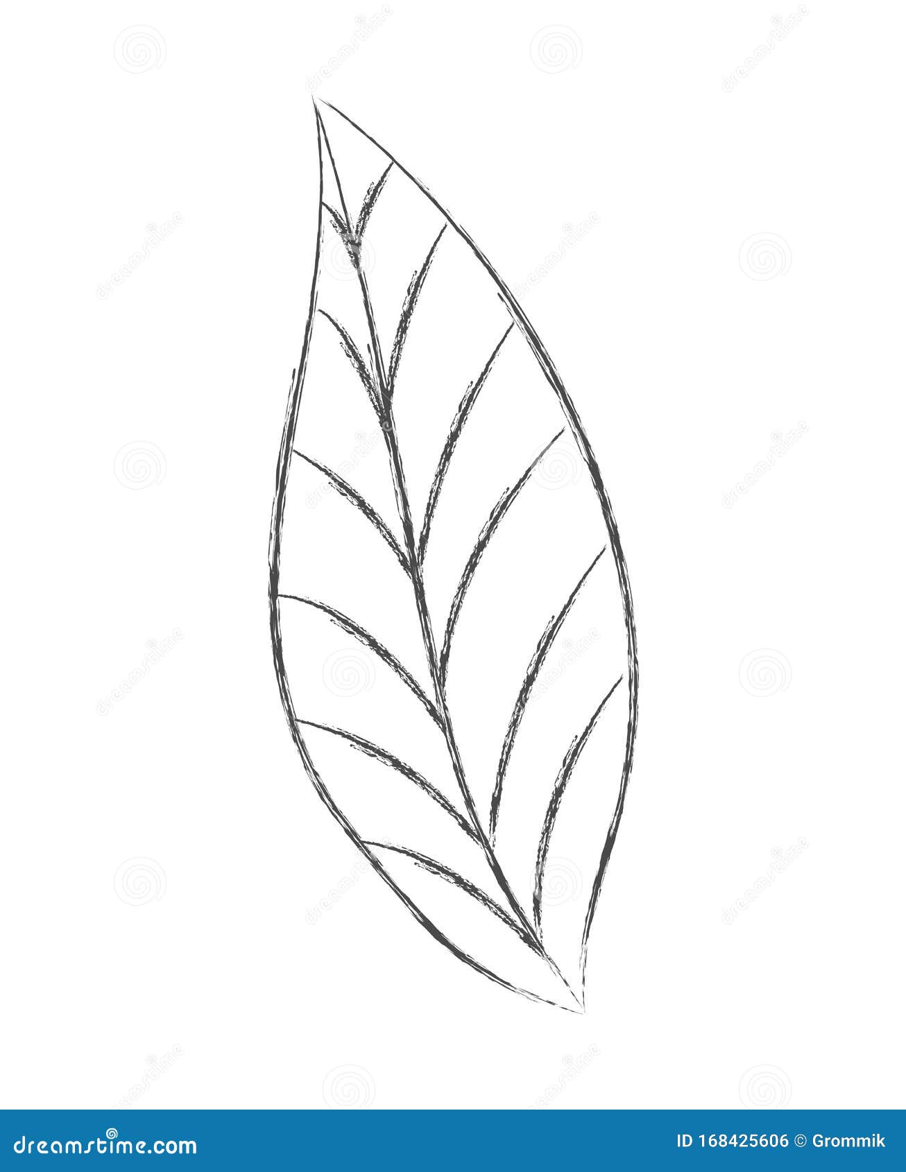 Dibujo a Lápiz De Una Hoja De Flores Estilo Doodle Plano Aislado Sobre Un Fondo Blanco Ilustración del Vector - Ilustración de adorne, postal: 168425606 Dibujo a Lápiz De Una Hoja De Flores Estilo Doodle Plano Aislado Sobre Un Fondo Blanco Ilustración del Vector - Ilustración de adorne, postal: 168425606