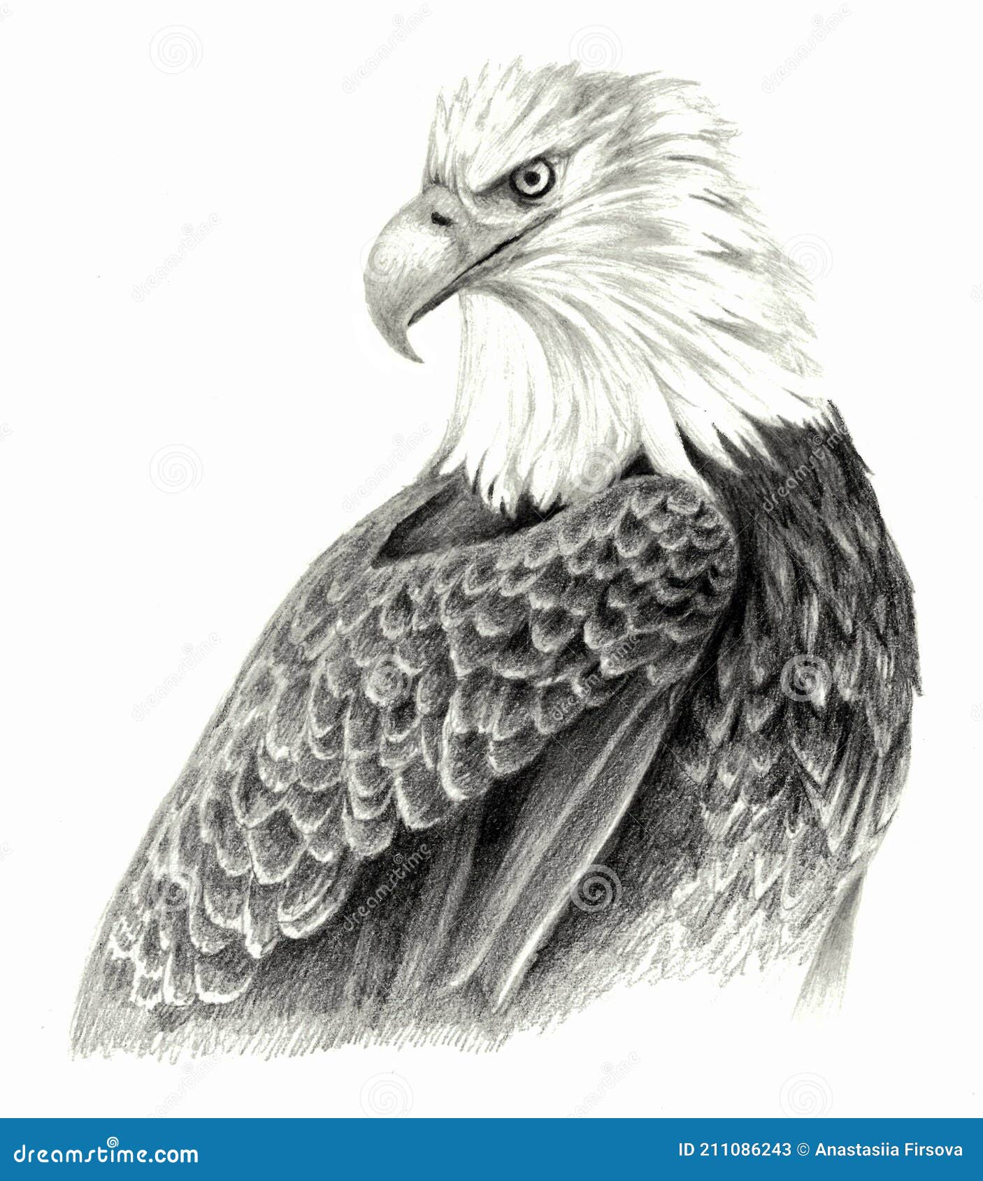 Dibujo a Mano De águila. Dibujo Detallado De Animales. Stock de ilustración - Ilustración de cuadro, cubo: 211086243 Dibujo a Mano De águila. Dibujo Detallado De Animales. Stock de ilustración - Ilustración de cuadro, cubo: 211086243