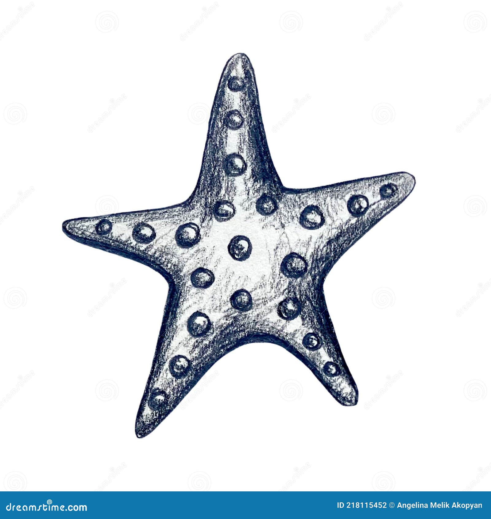Dibujo a Mano Lápiz Ilustración De Una Estrella De Mar Stock de ilustración  - Ilustración de animal, cubo: 218115452