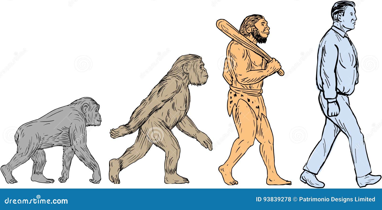 Dibujo Que Camina De La Evolución Humana Stock de ilustración - Ilustración  de handmade, tarjeta: 93839278