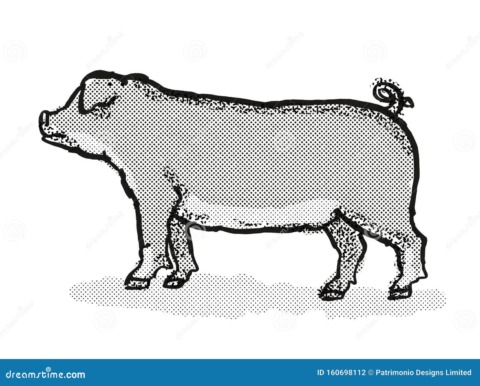 Dibujo Retro De La Raza De Cerdo Duroc Stock de ilustración - Ilustración de tono, retro: 160698112 Dibujo Retro De La Raza De Cerdo Duroc Stock de ilustración - Ilustración de tono, retro: 160698112