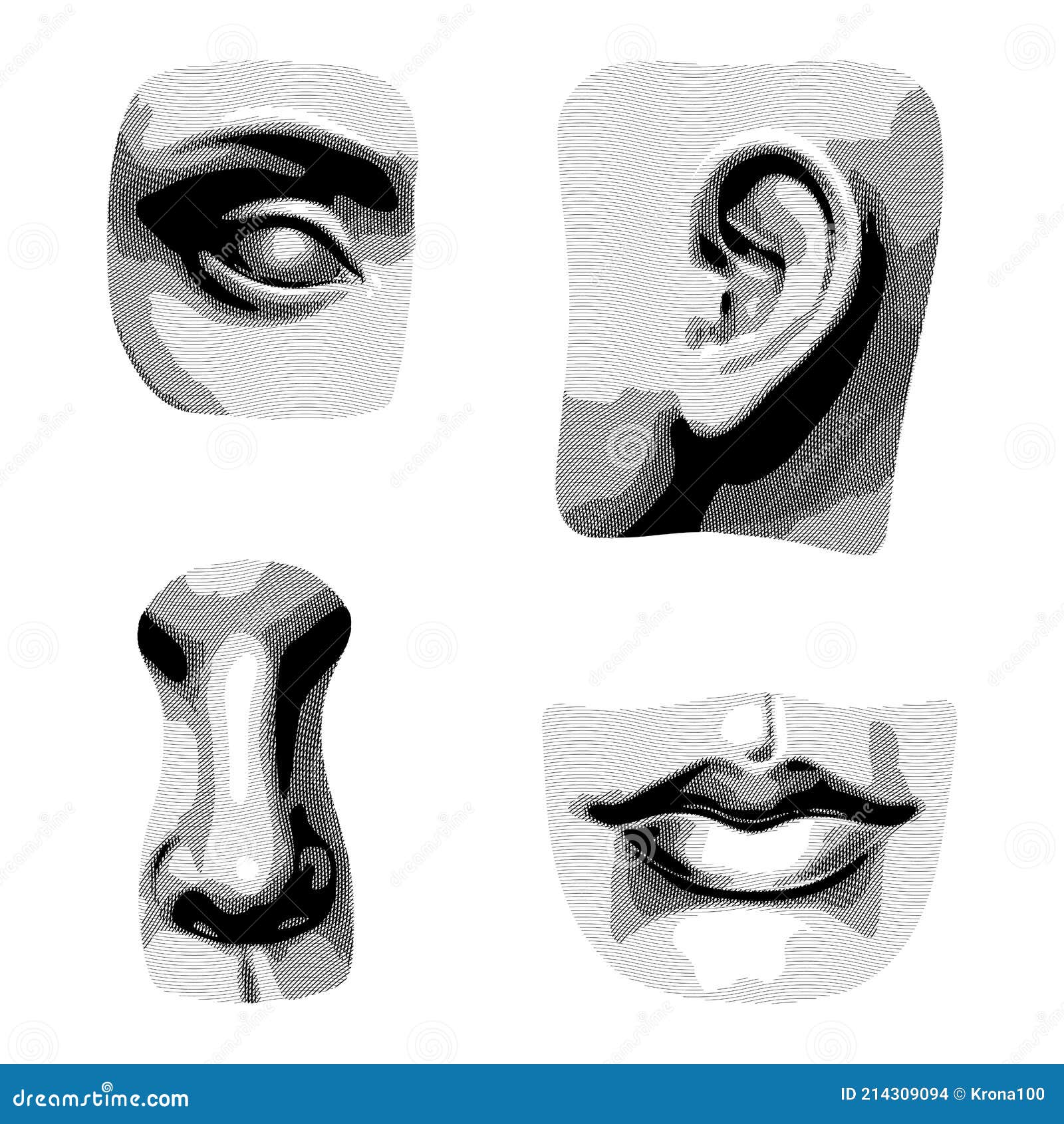 Dibujo Sombreado De Las Partes De La Cara En El Estilo Antiguo Ilustración del Vector - Ilustración de cultura, cara: 214309094 Dibujo Sombreado De Las Partes De La Cara En El Estilo Antiguo Ilustración del Vector - Ilustración de cultura, cara: 214309094