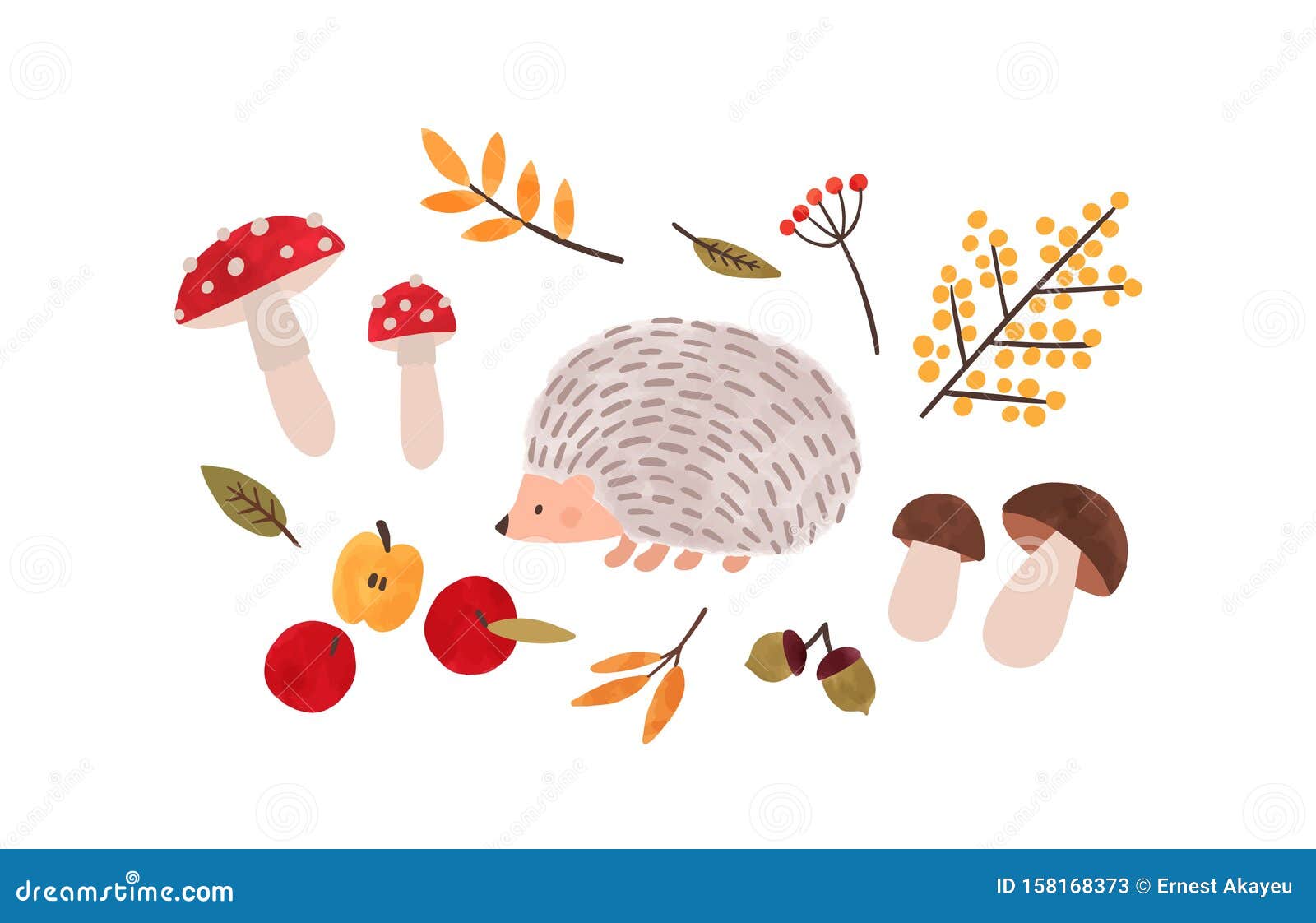 Dibujo Vectorial Artesanal De La Flora Y Fauna Forestales. SÃmbolos De La  Temporada De OtoÃ±o: Pintura Acuarela. Hedgehog, Follaj Ilustración del  Vector - Ilustración de flora, infantil: 158168373