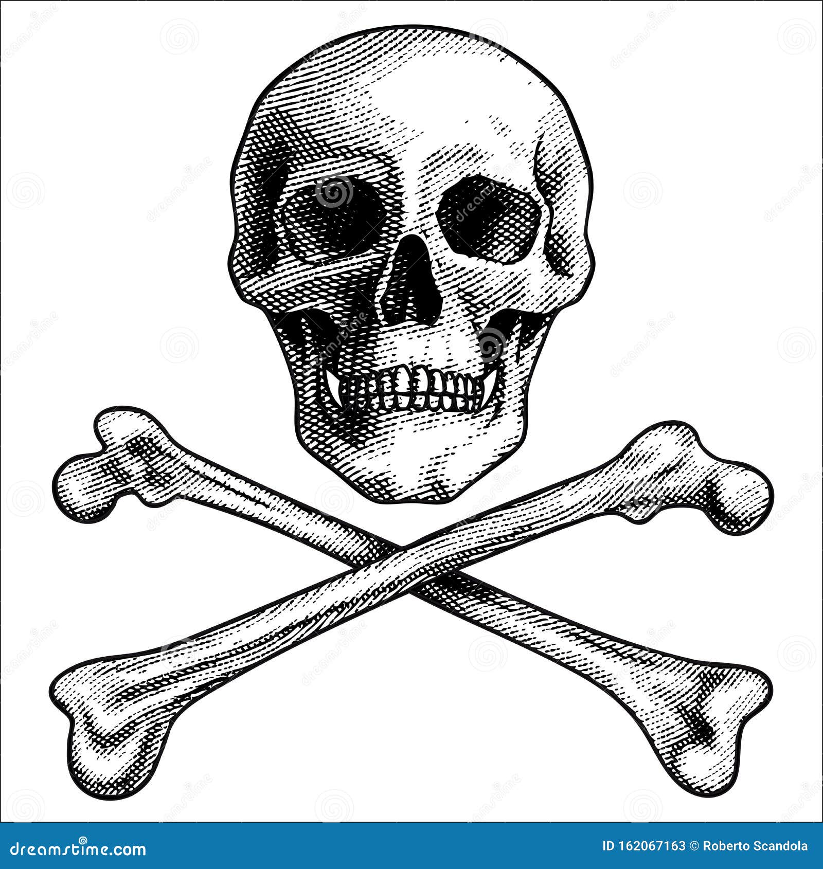 Dibujo Vectorial, Calavera Humana Dibujada a Mano Y Travesaños Ilustración del Vector - Ilustración de médicos, elemento: 162067163 Dibujo Vectorial, Calavera Humana Dibujada a Mano Y Travesaños Ilustración del Vector - Ilustración de médicos, elemento: 162067163