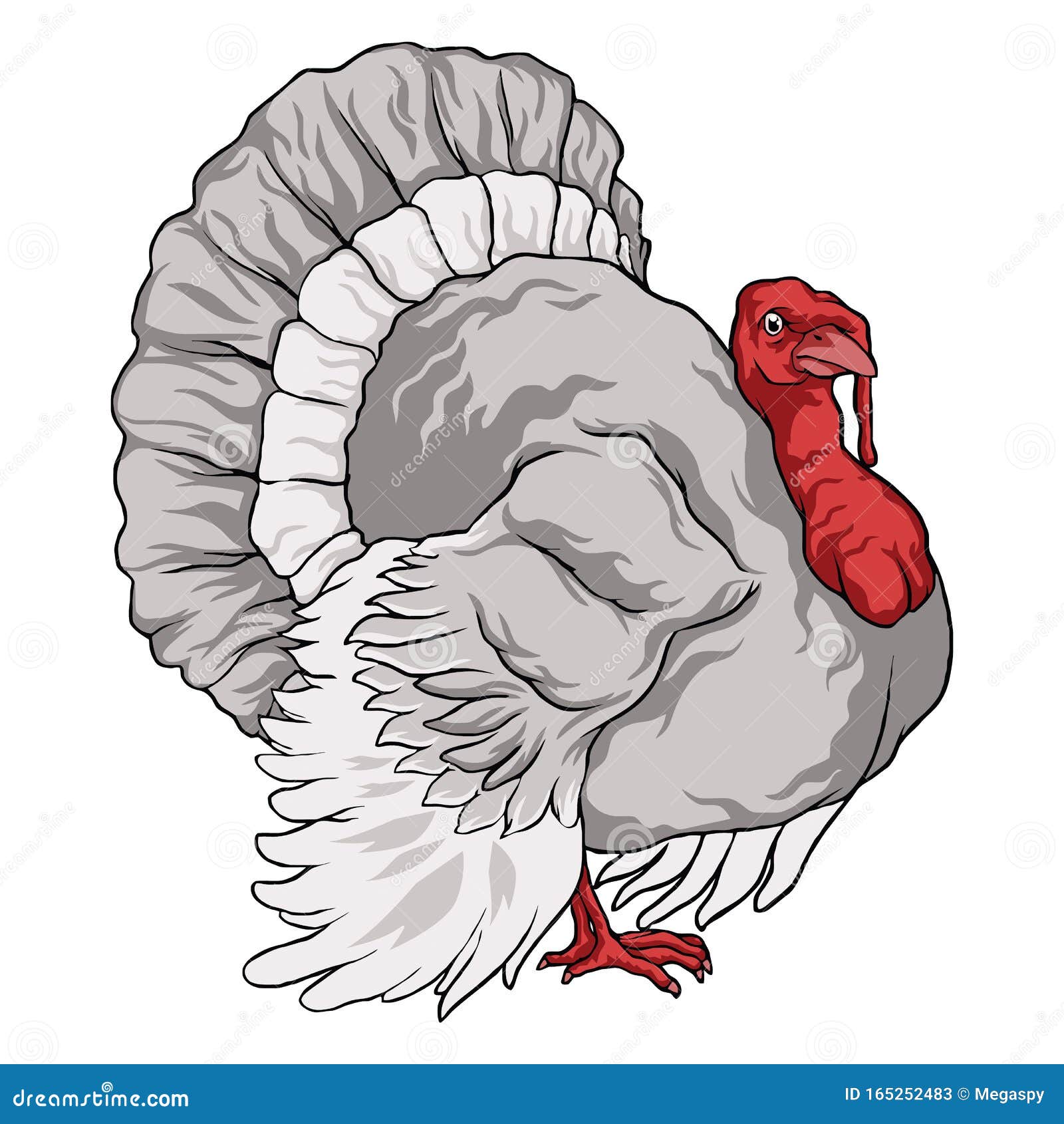 Dibujo Vectorial Colorido De Pavo Ilustración del Vector - Ilustración de doméstico, bosquejo: 165252483 Dibujo Vectorial Colorido De Pavo Ilustración del Vector - Ilustración de doméstico, bosquejo: 165252483