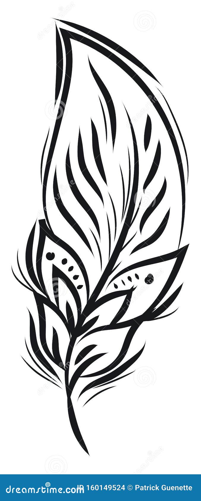 Dibujo Vectorial O En Color De DiseÃ±o De Plumas En Blanco Y Negro  Ilustración del Vector - Ilustración de imagen, bohemio: 160149524