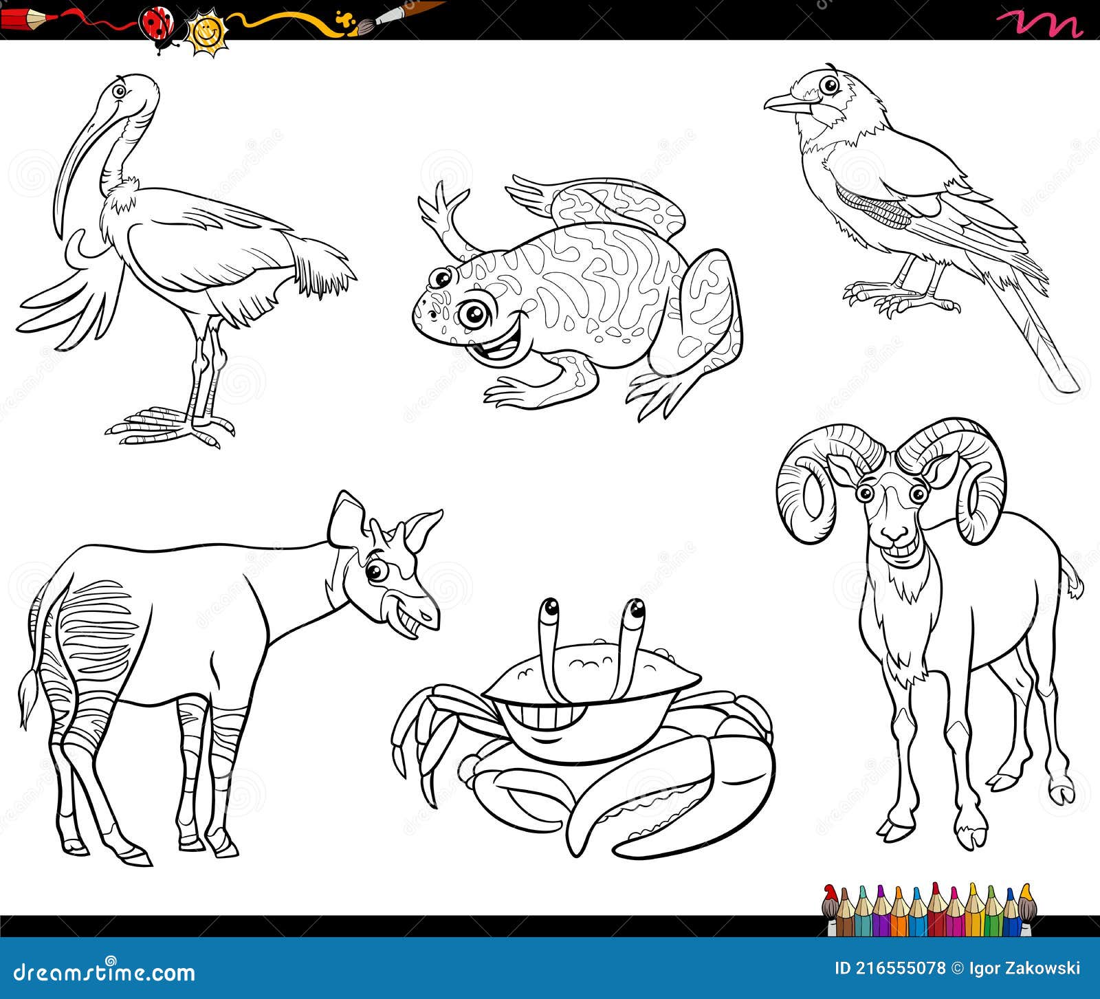 Dibujos Animados Animales Personajes Conjunto Para Colorear Libro Página  Ilustración del Vector - Ilustración de arrendajo, ingenioso: 216555078