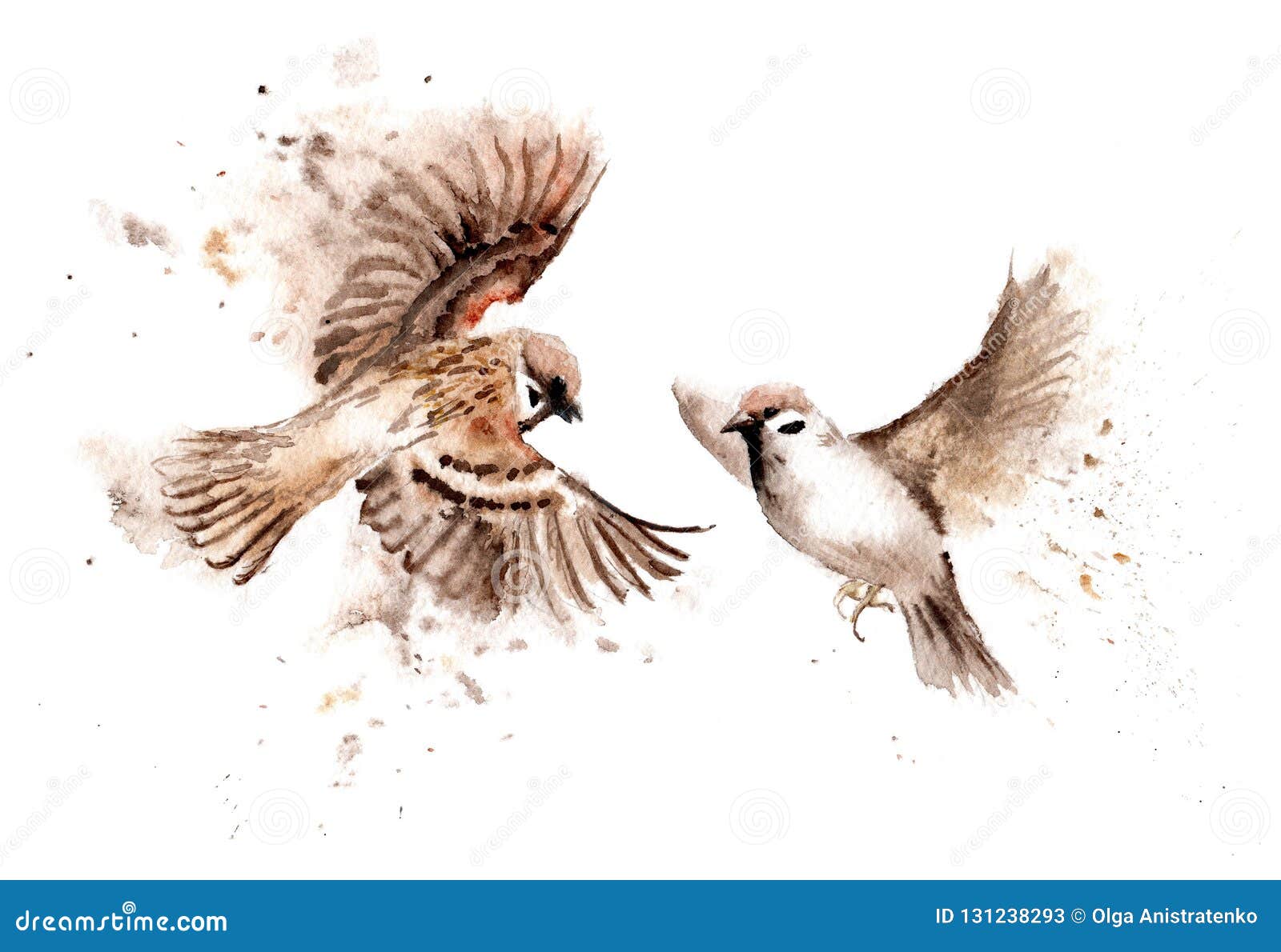 Dibujos De La Acuarela De Pájaros Un Par De Gorriones Altísimos Stock de  ilustración - Ilustración de vuelo, poco: 131238293