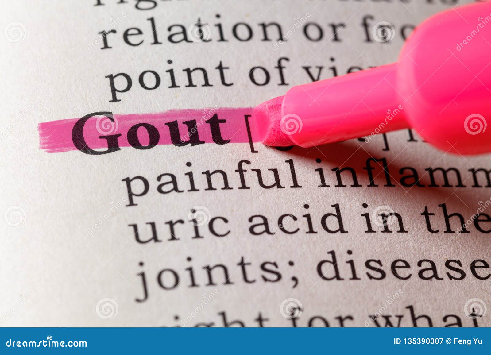 dictionary definition of gout