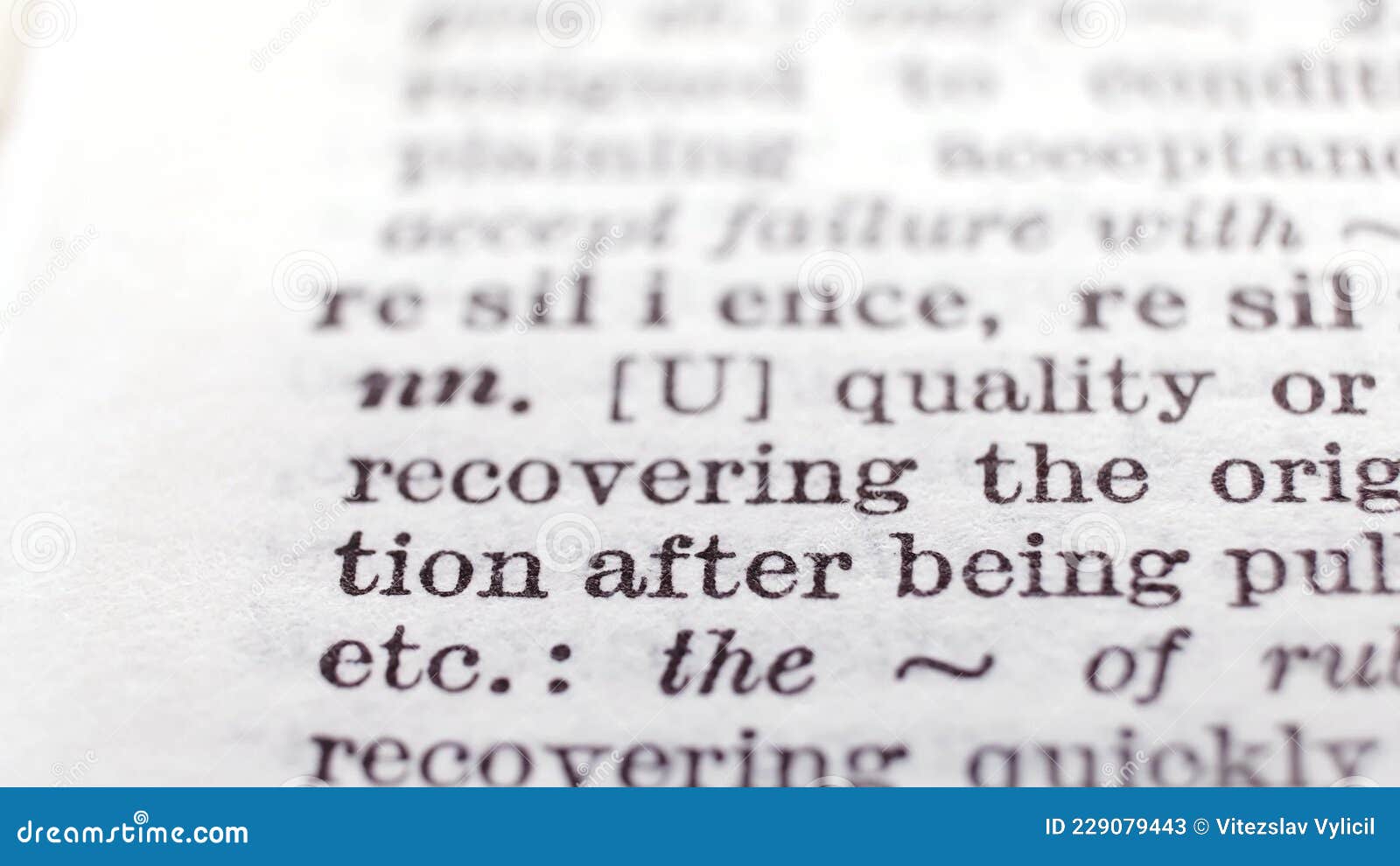 Perseverance Dictionary Definition