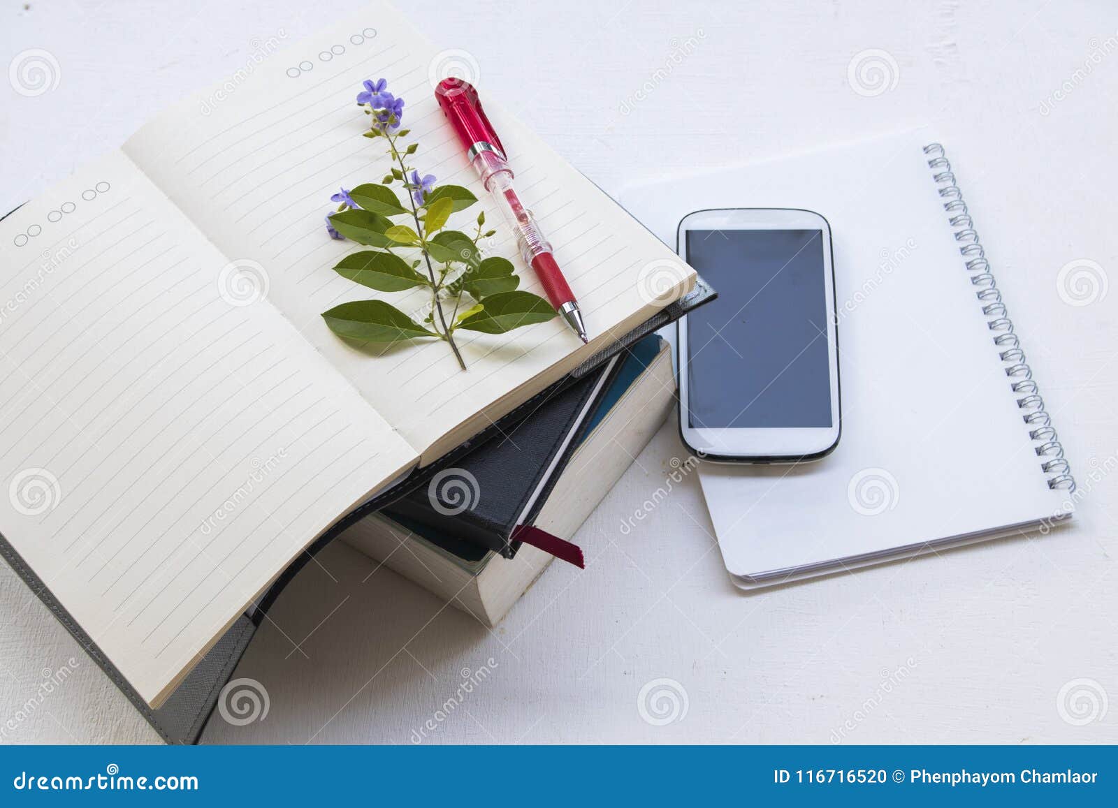 Dictionary English and Notebook Planner for Study Stock Photo Image