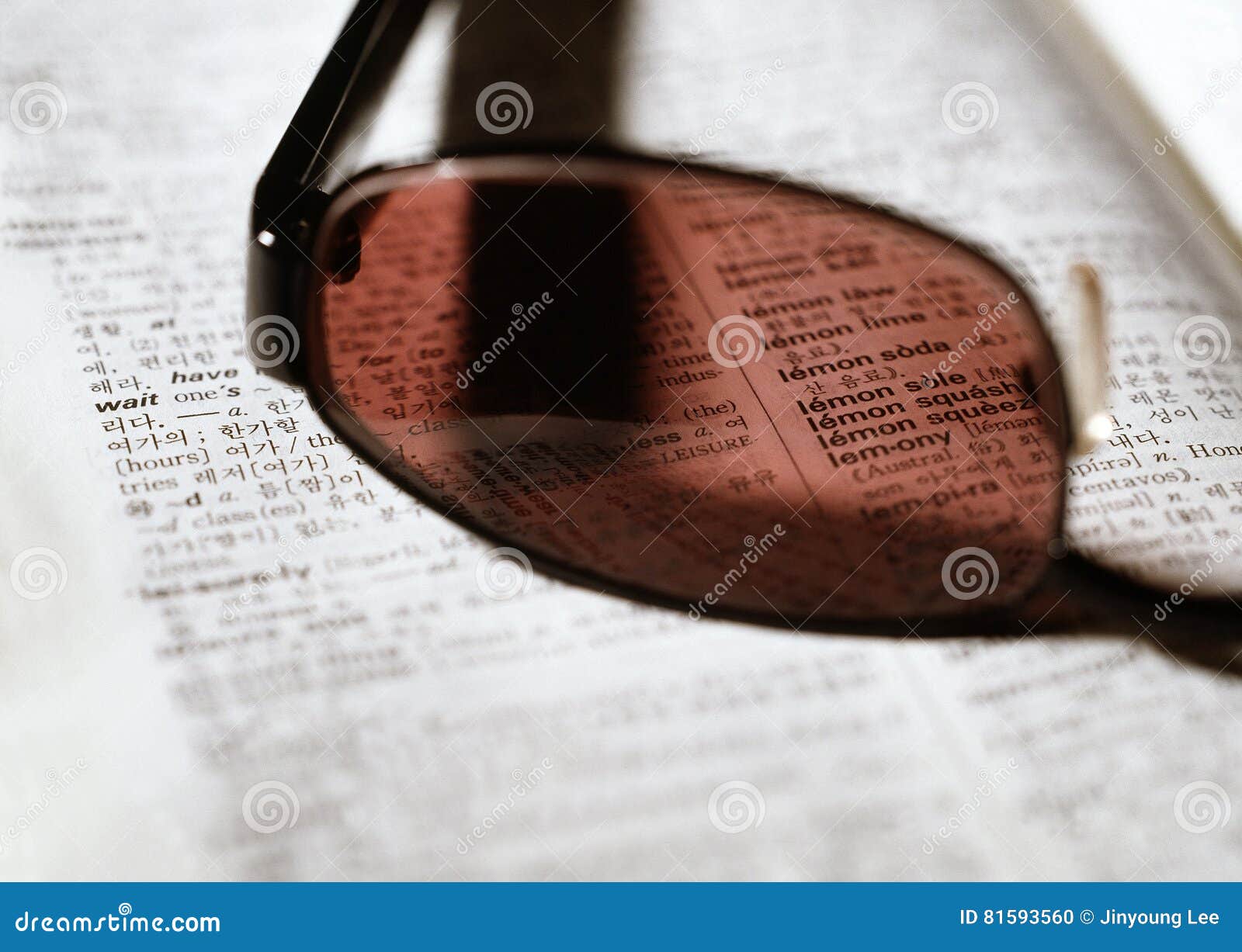 Dictionary stock photo. Image of glasses, sunglasses 81593560