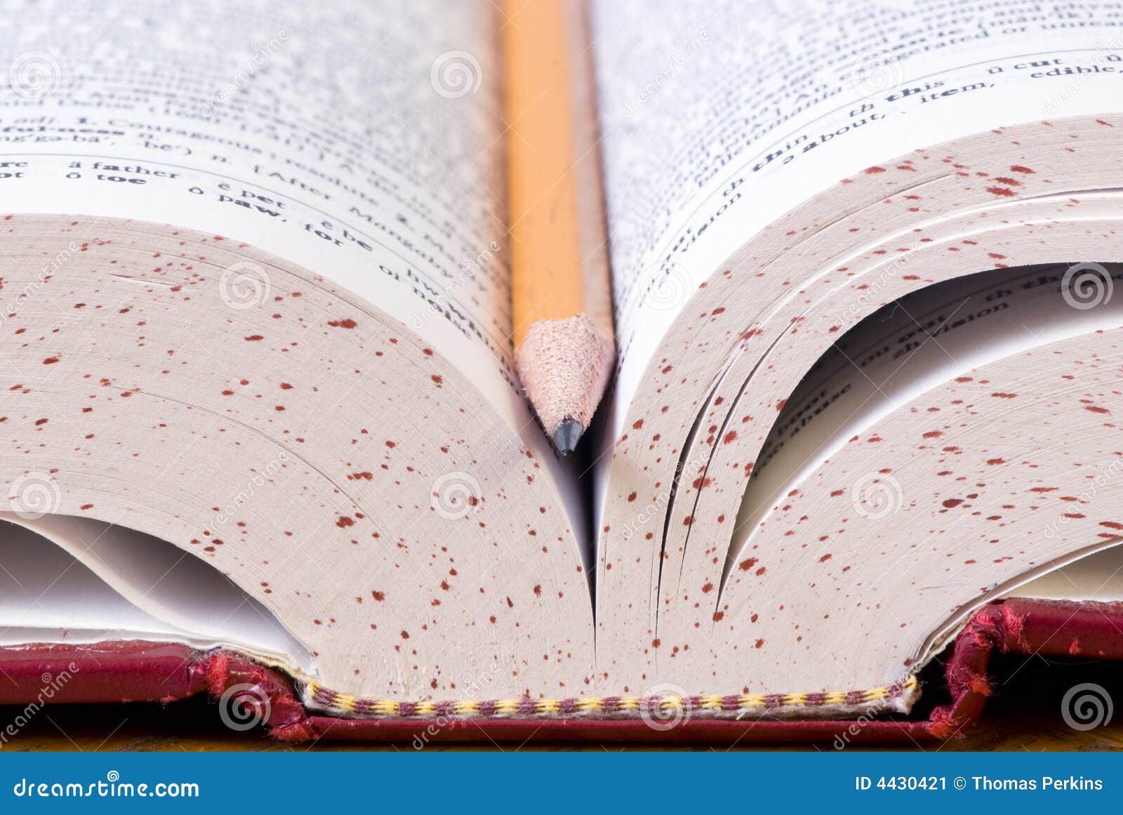 Dictionary and pencil stock image. Image of textbook, study 4430421