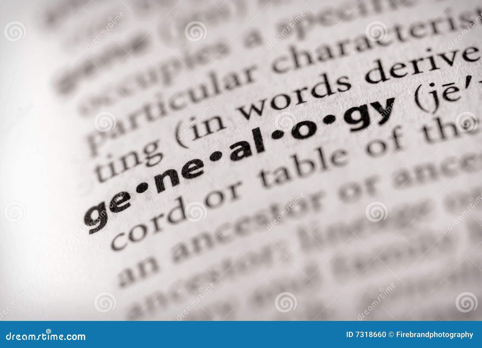 dictionary series - miscellaneous: genealogy