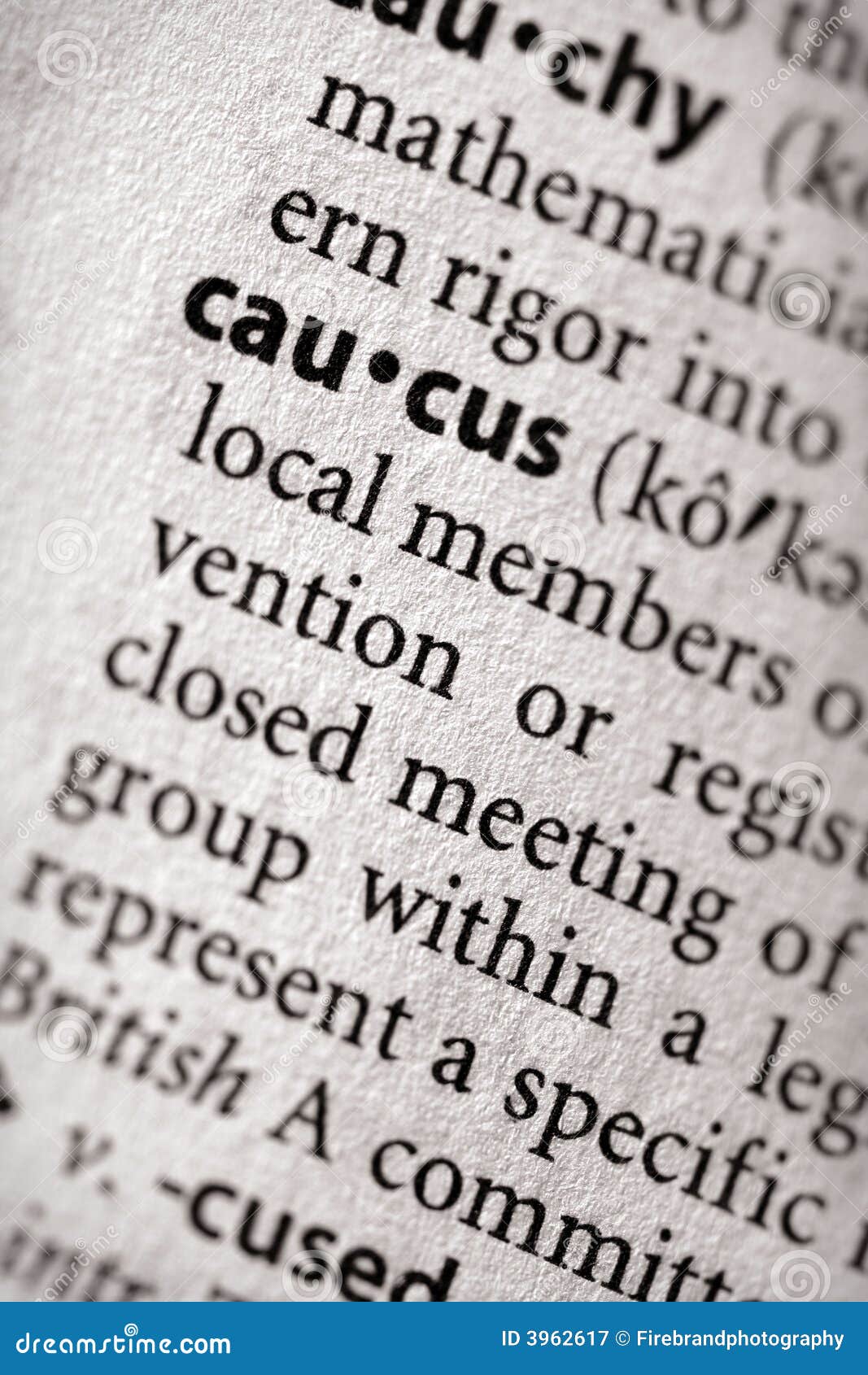 dictionary series - politics: caucus