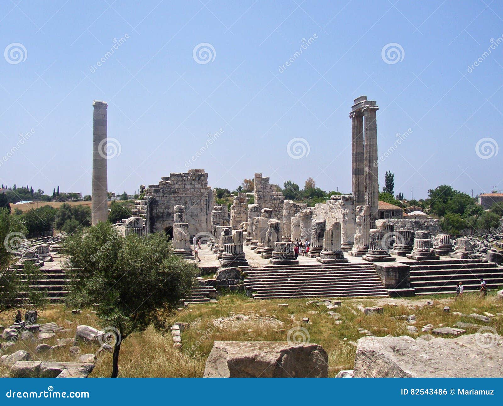 turkey: didima, didyma, didim, apollo oracle