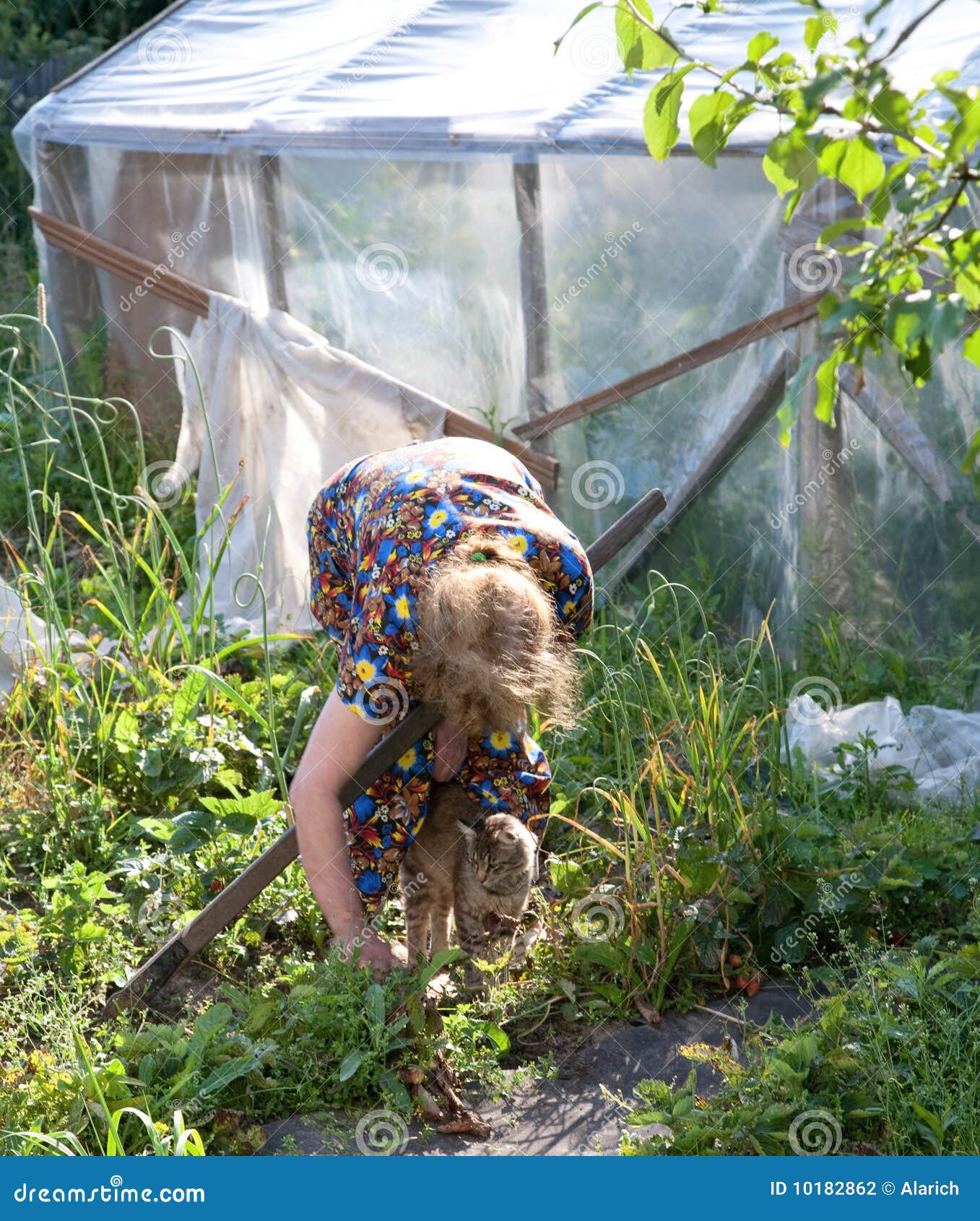 Die Alte Frau Arbeitet Im Garten Stockfoto Bild von hacke, garten
