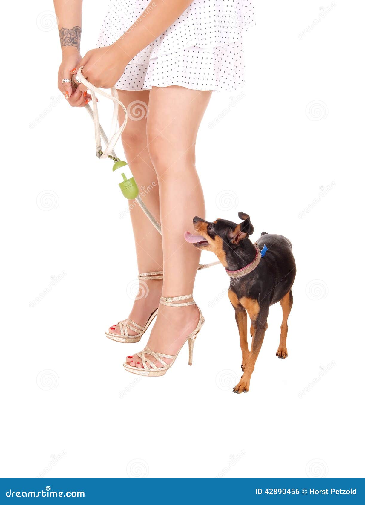 Die Beine Der Frau Mit Hund Stockfoto Bild von hund, frau 42890456