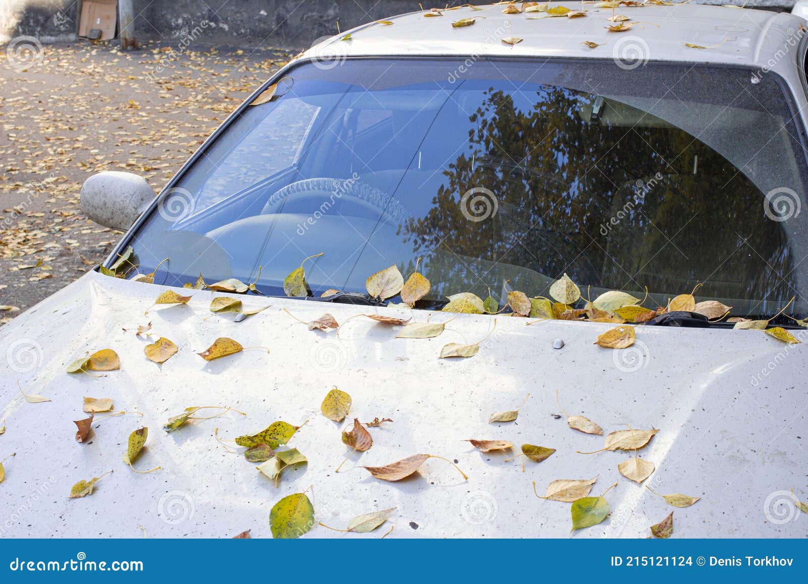 Die Eisige Windschutzscheibe Und Motorhaube Des Autos Mit Weißem Frost Und  Gefallenen Gelben Blättern Bedeckt Stockfoto - Bild von automobil, park:  215121124