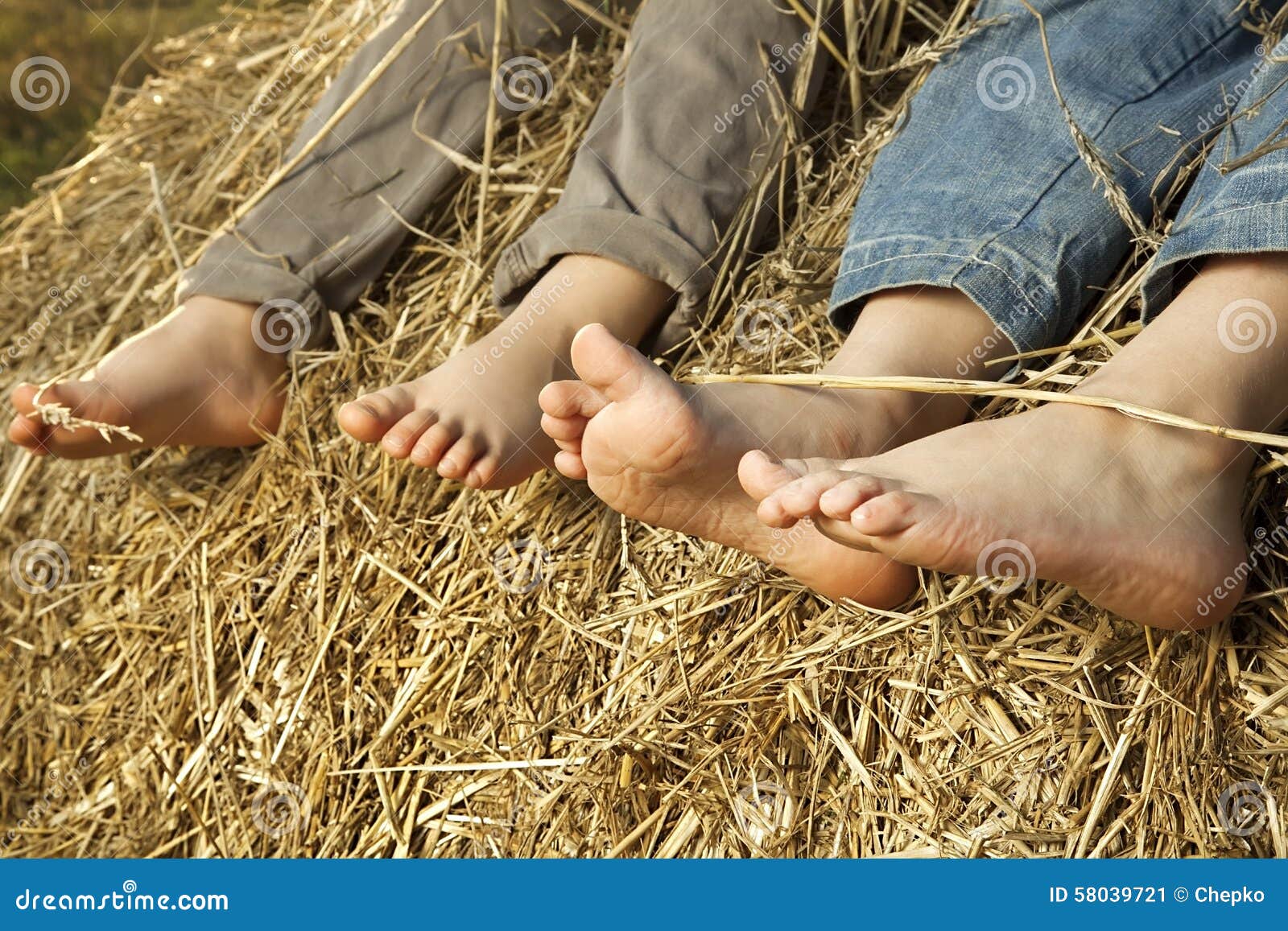 Die Fusse Der Kinder Im Heu Stockbild Bild Von Bauernhof 58039721