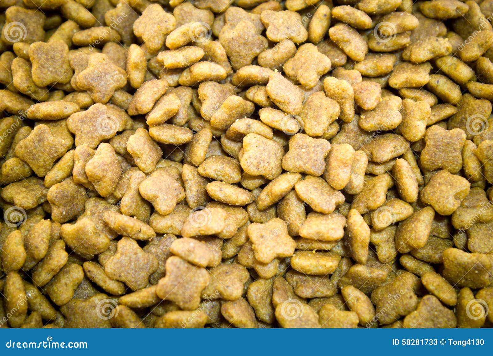 Diet pill for dogs stock image. Image of biscuit, feed 58281733