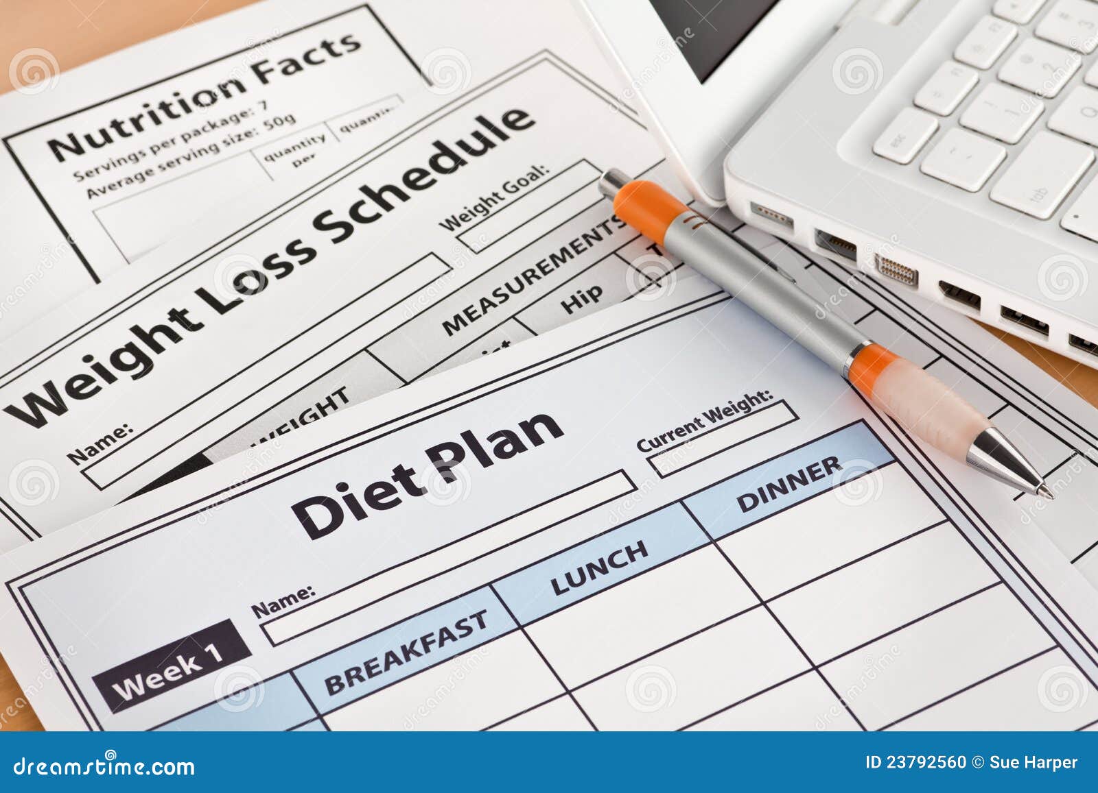 diet plan and weightloss schedule by laptop