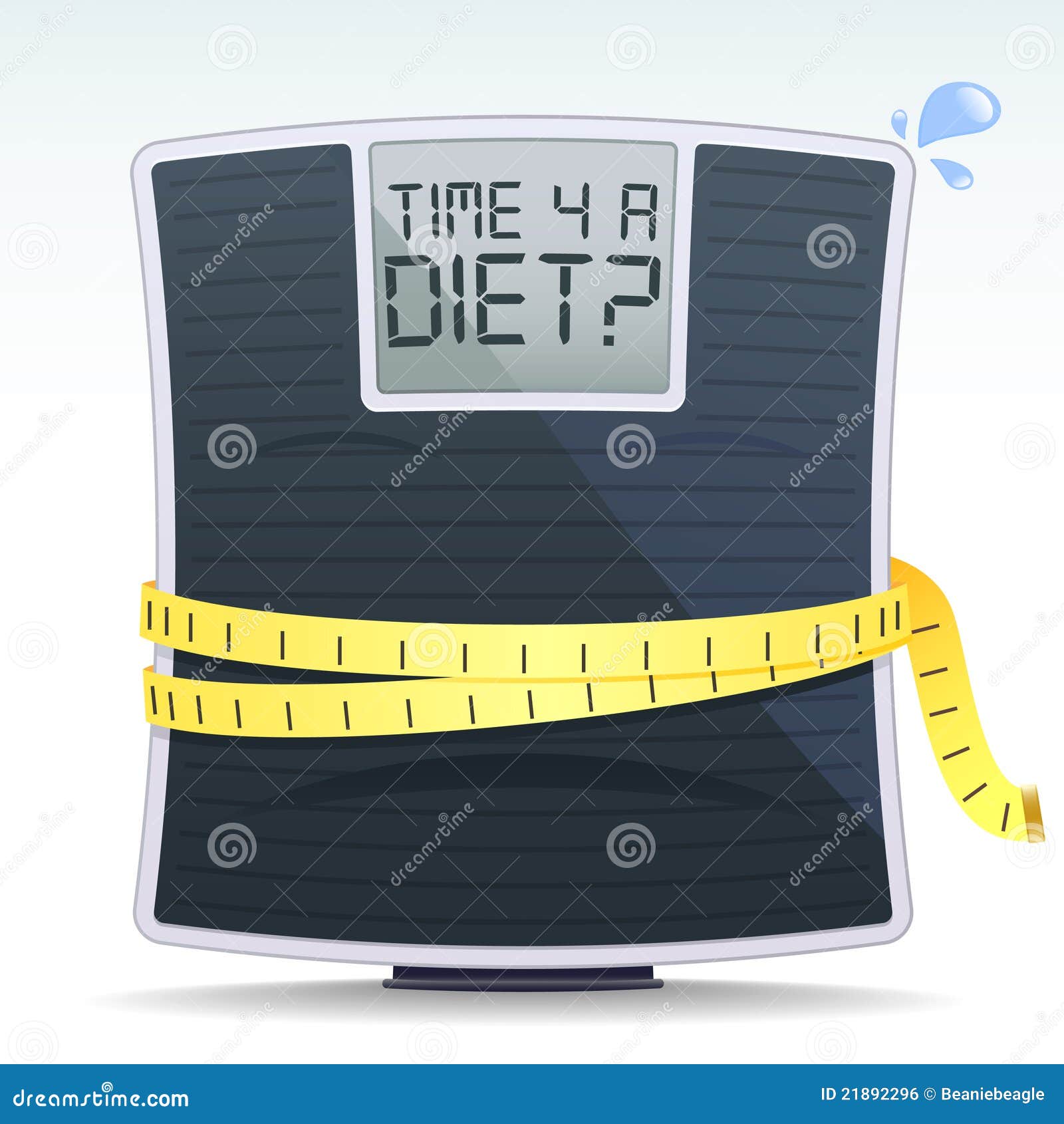 diet scales
