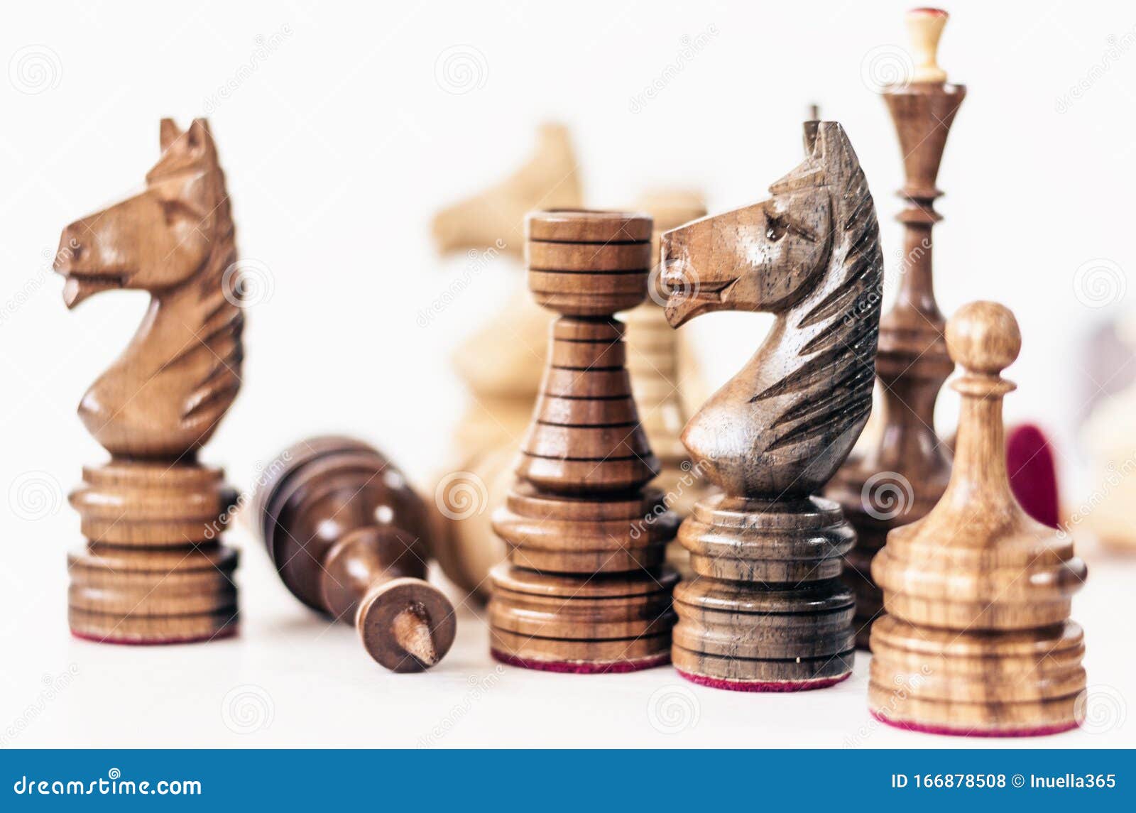 xadrez. conjunto de peças de xadrez brancas e pretas. cavalo