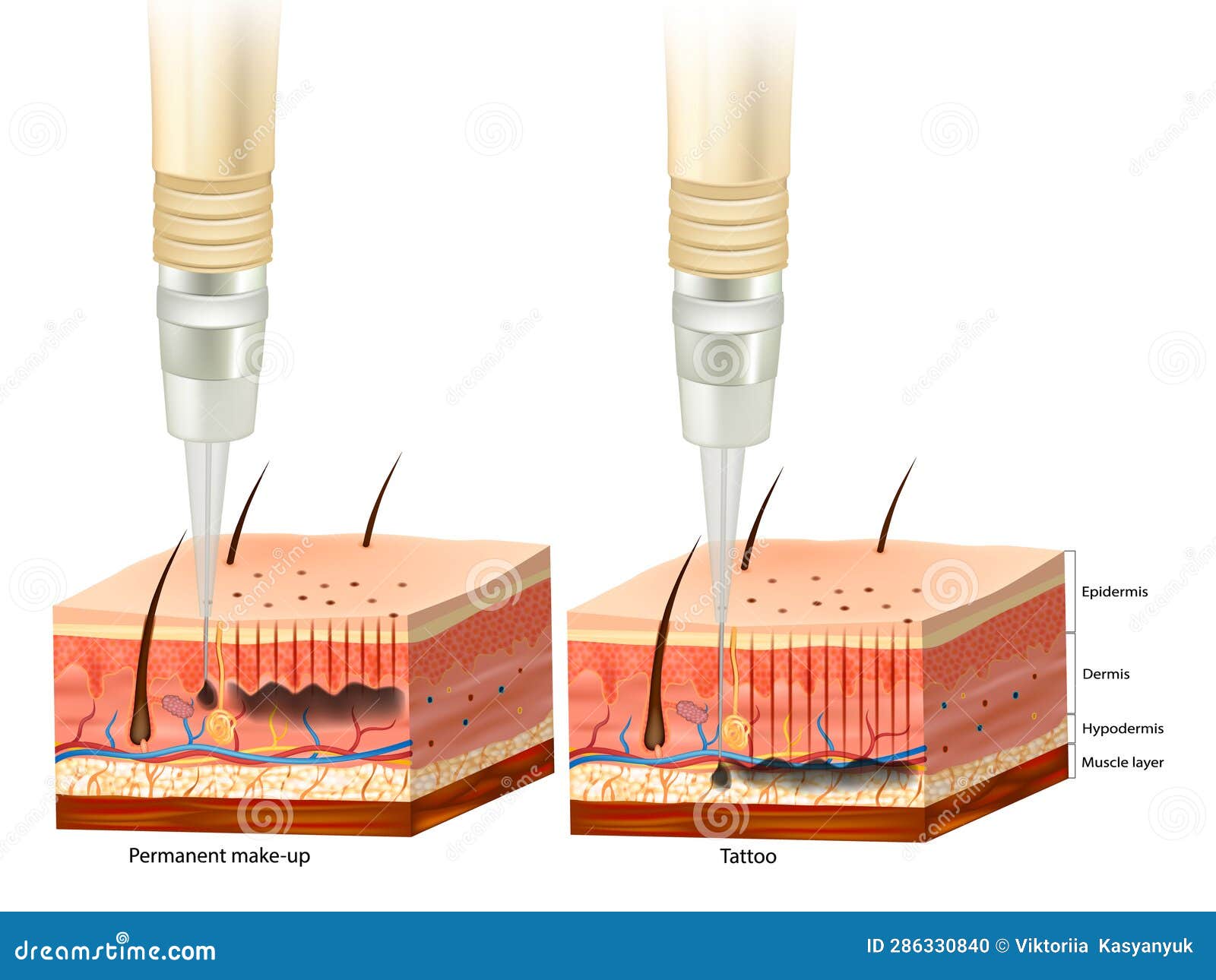 Difference between Tattoo and Permanent Makeup Process. Pigment Under
