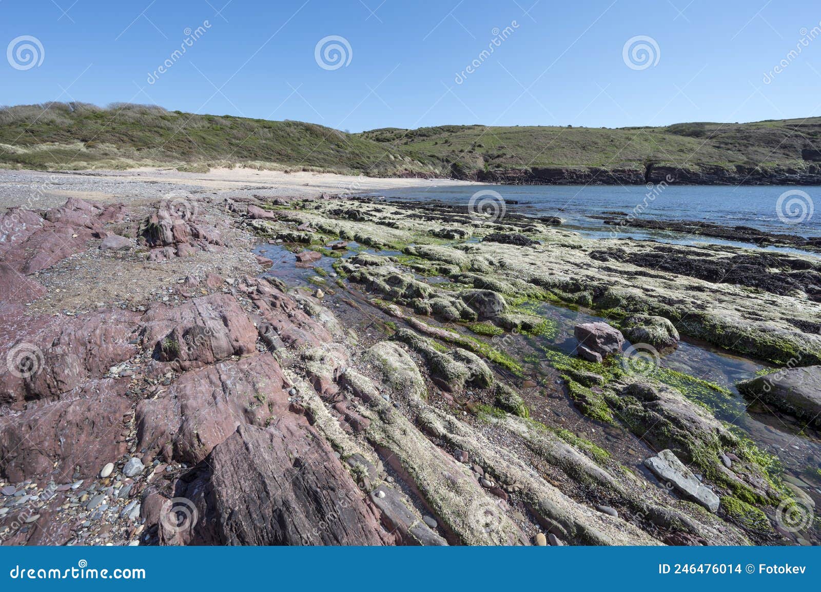 differenent coloured rocks on manorbier beach pembrokeshire