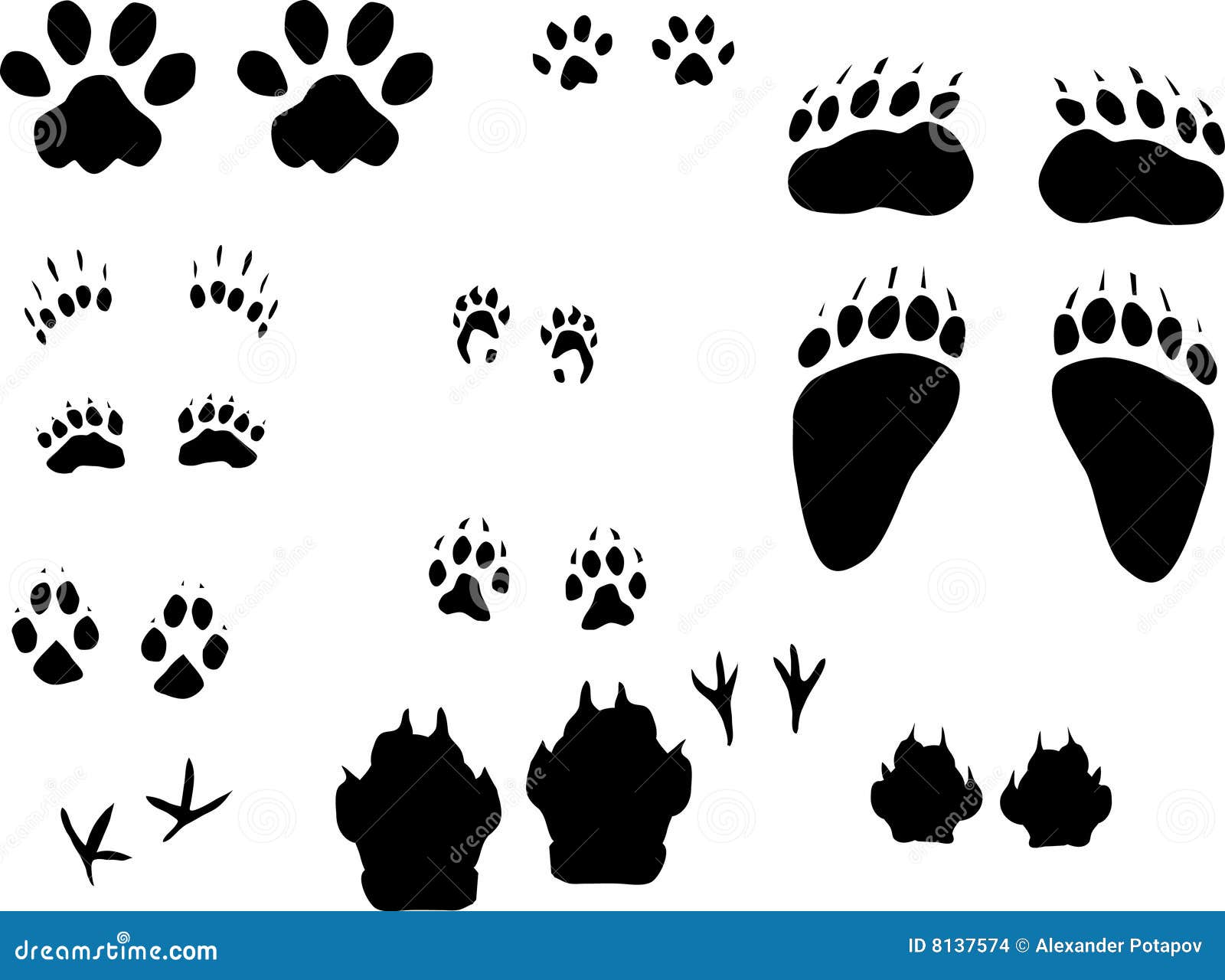 free clipart animal footprints - photo #42