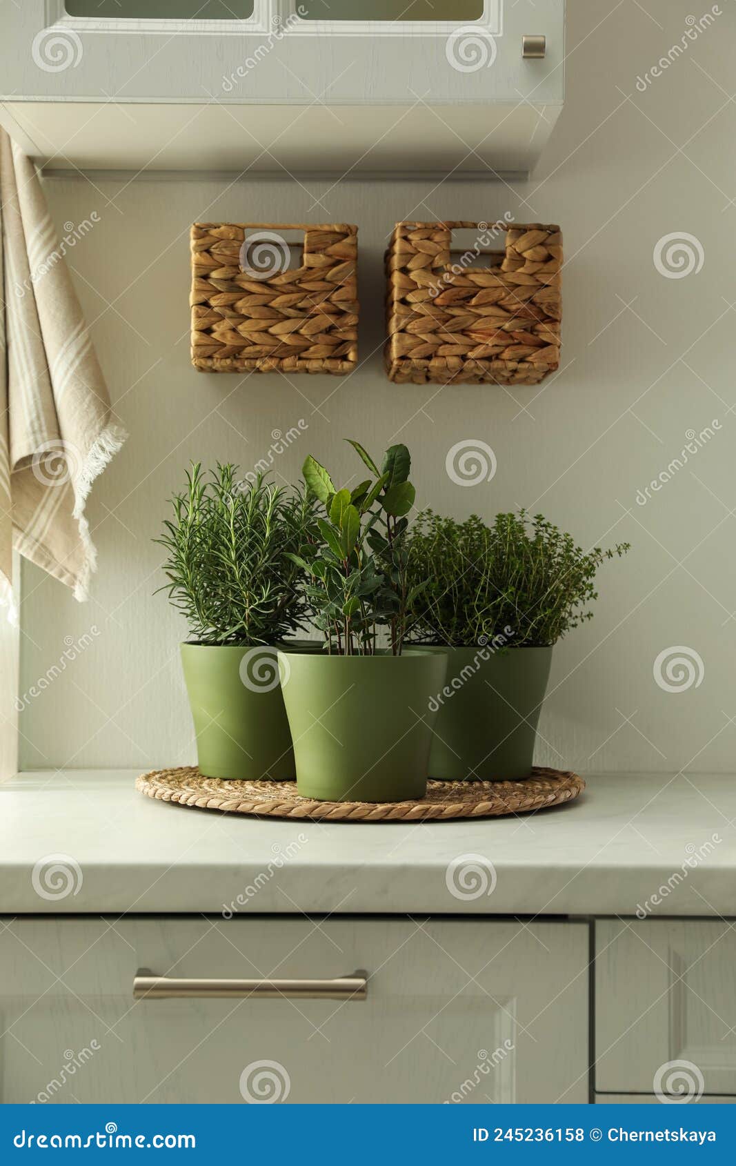 Different Aromatic Potted Herbs on Countertop in Kitchen Stock Photo