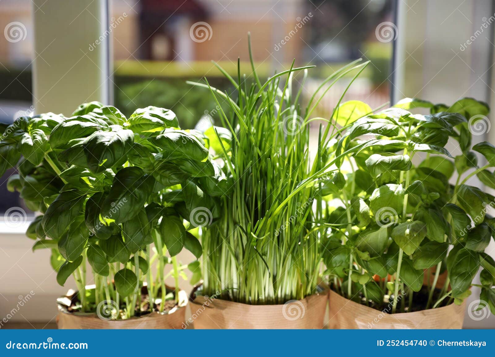 Different Aromatic Potted Herbs Near Window Indoors, Closeup Stock