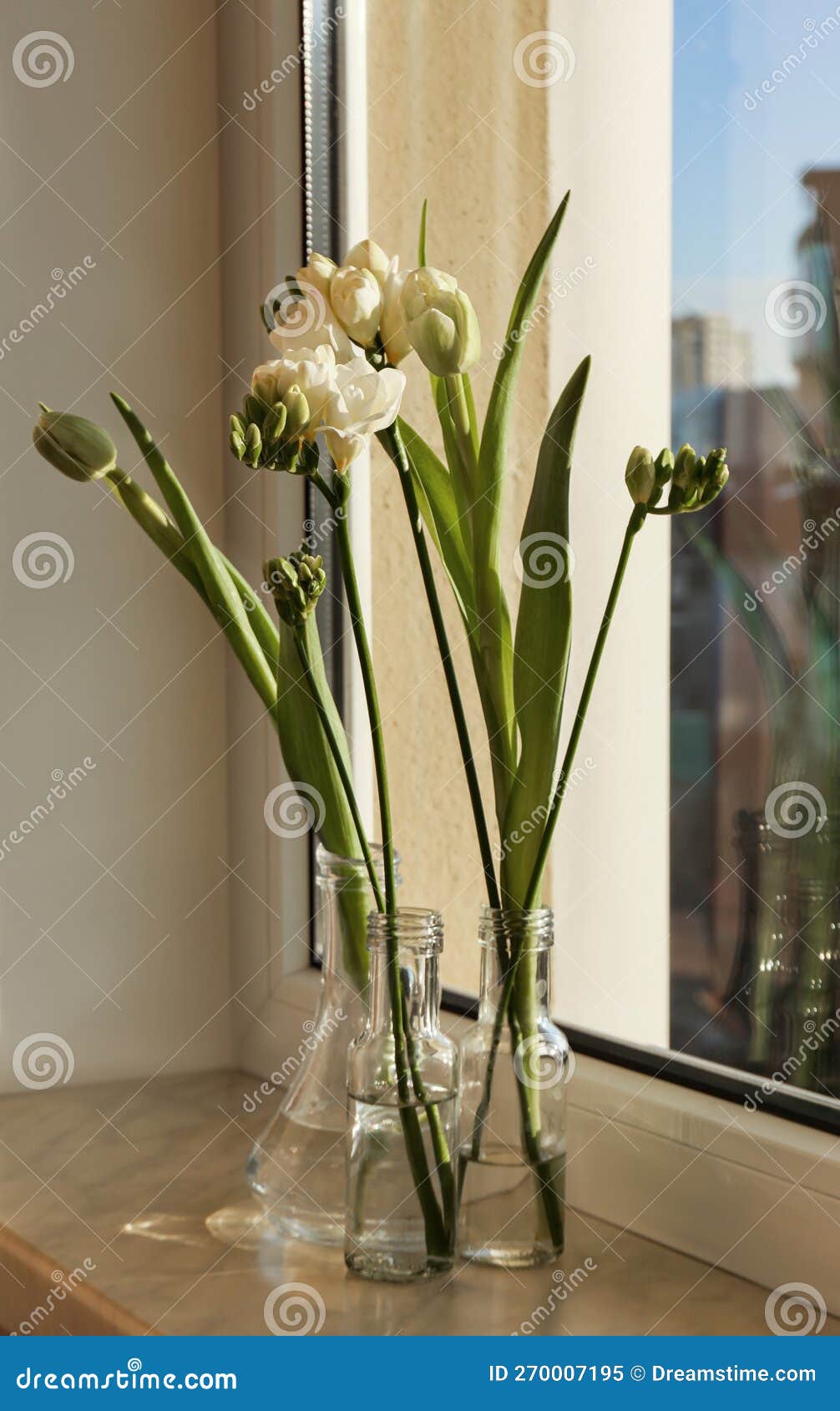 Different Beautiful Spring Flowers on Windowsill Indoors Stock Image