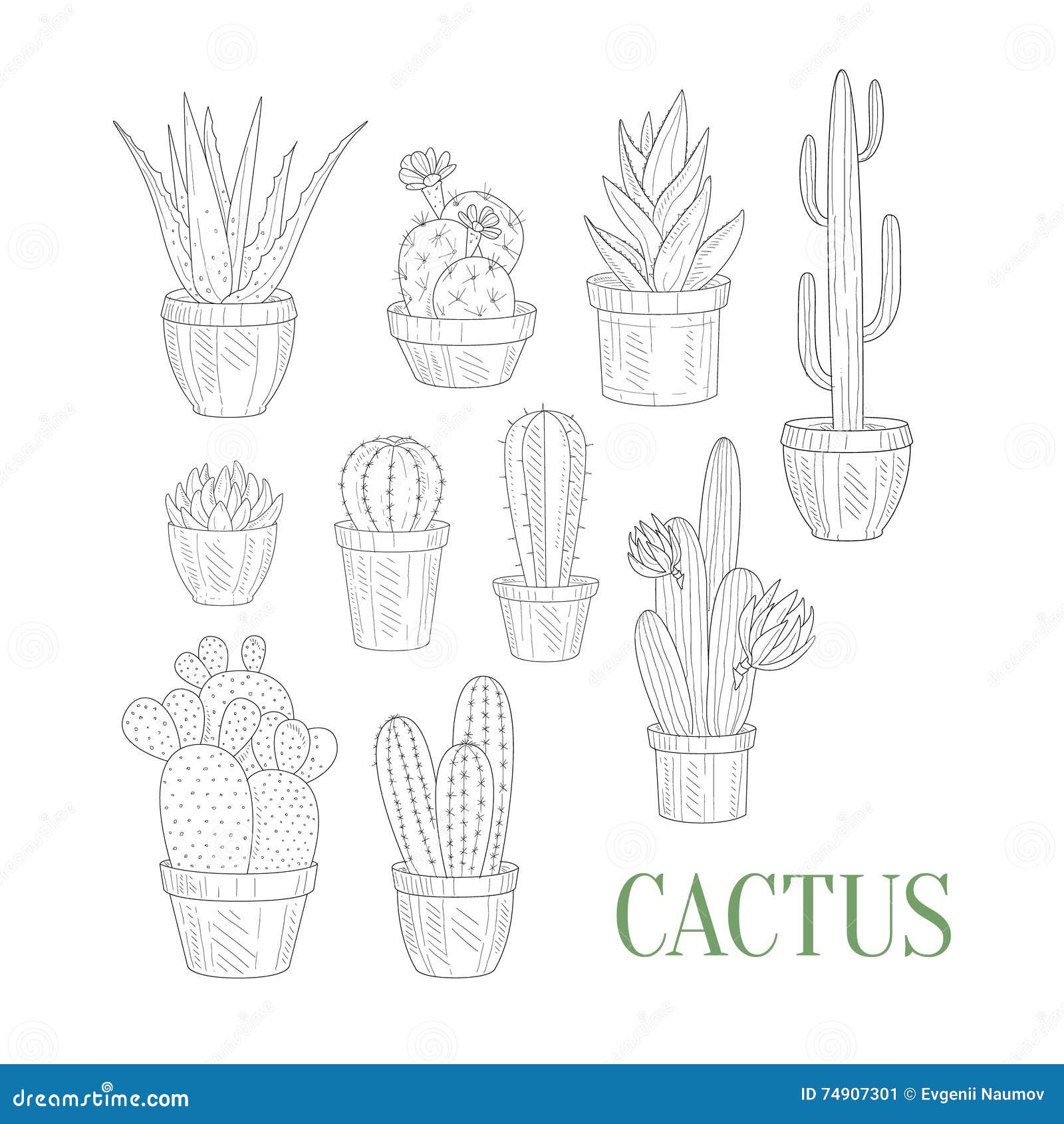 flower pot pencil drawing  Cactus drawing, Nature art drawings, Art  drawings sketches simple