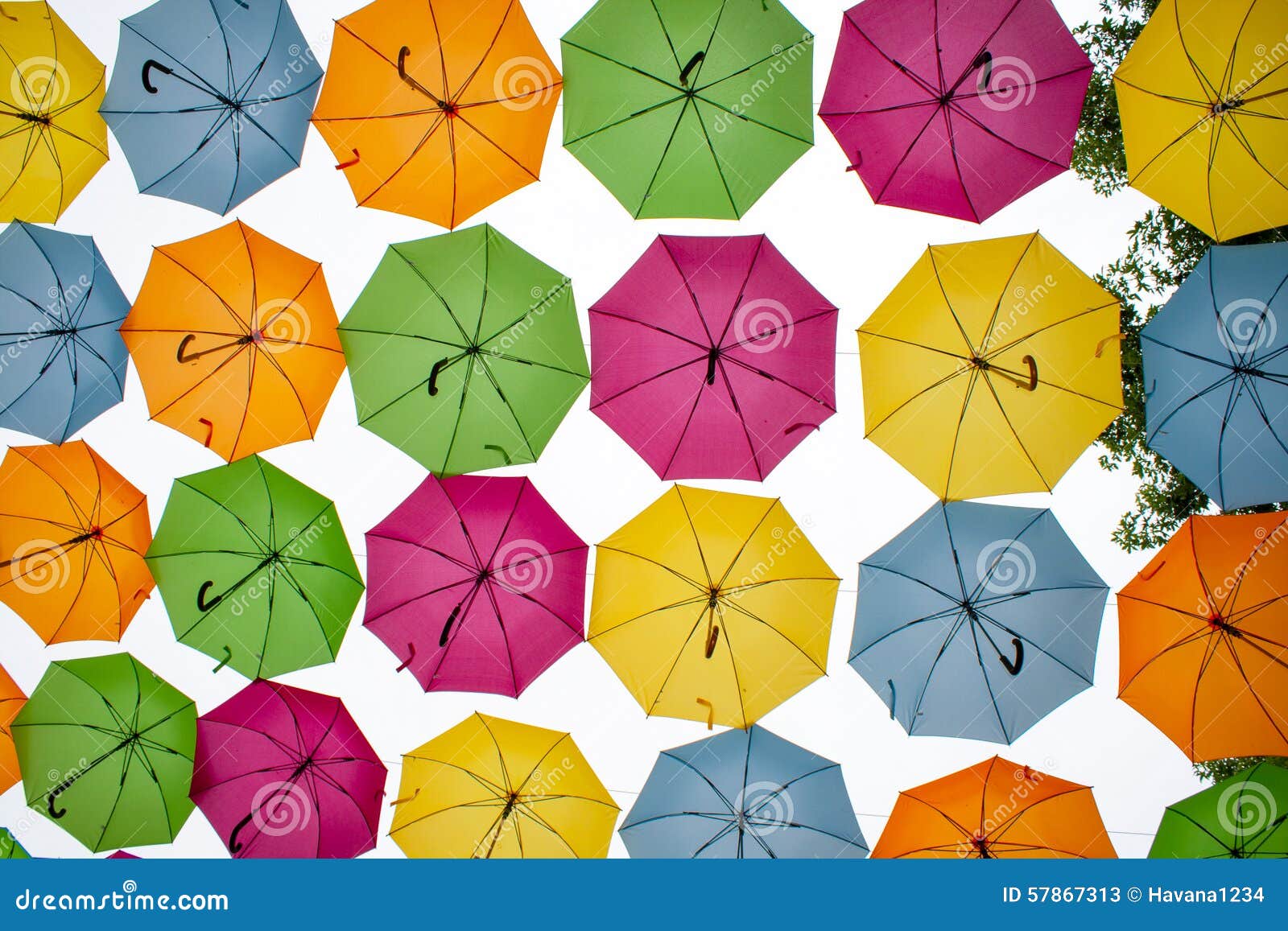 different colored umbrellas hanging in the air.