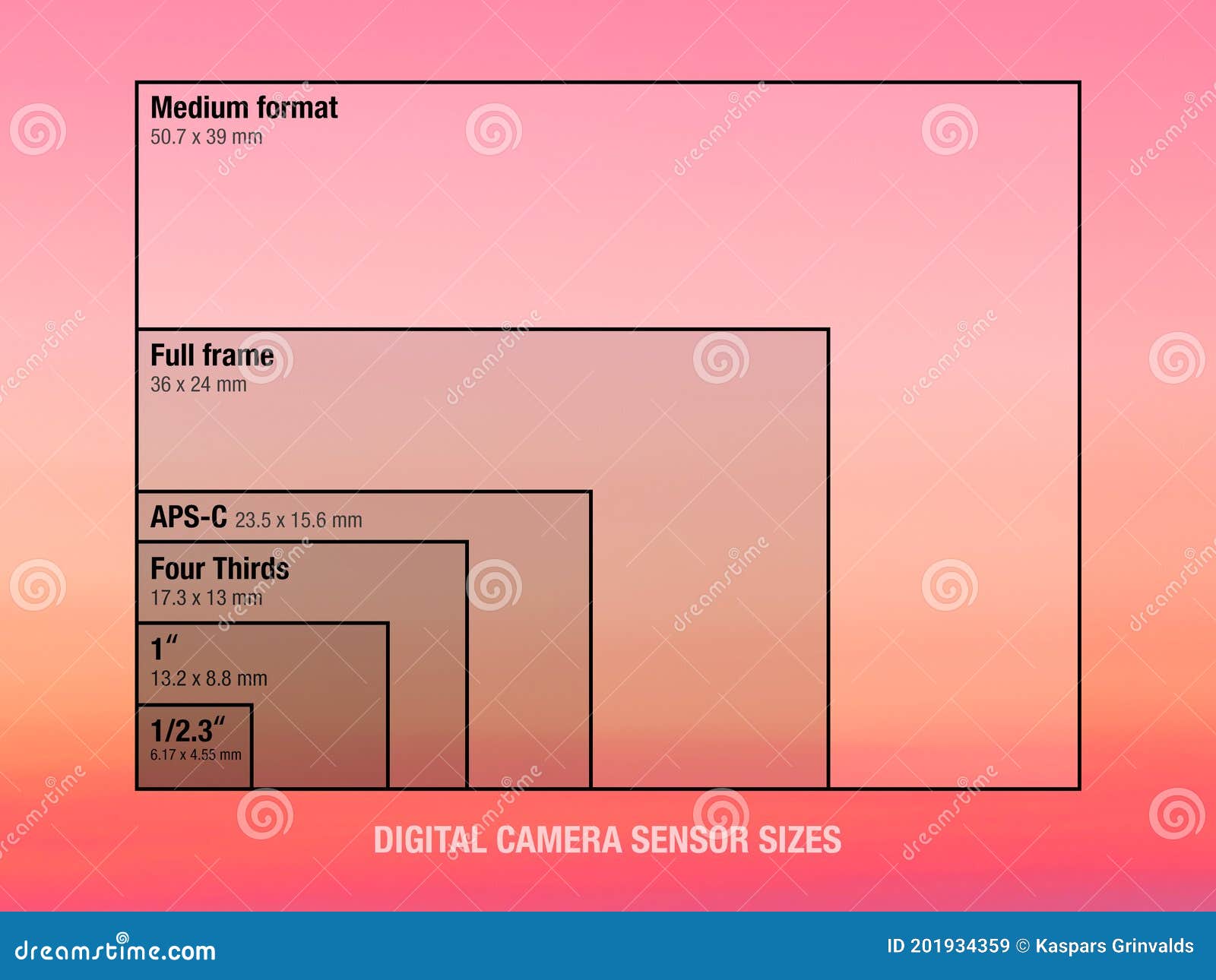 Viewfinder size comparison 