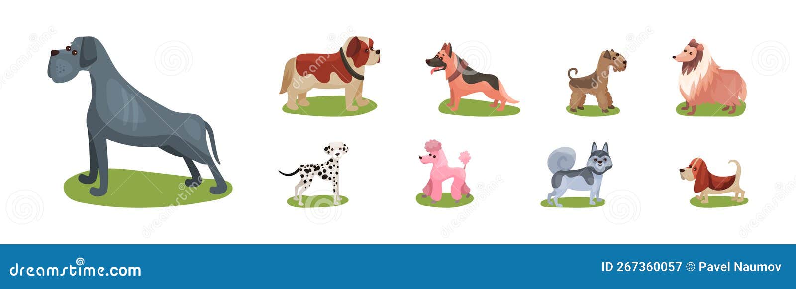 Different Dog Breed Standing on Green Grass Vector Set Stock Vector