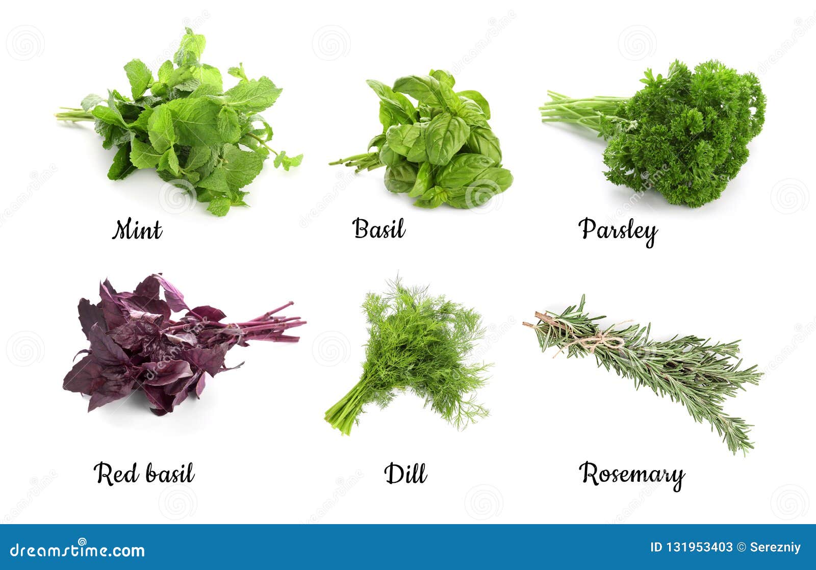 Different Fresh Herbs on White Background Stock Image Image of