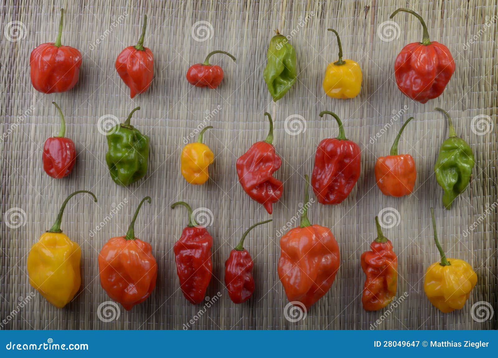 Different Habanero Chilis Royalty Free Stock Photography Image 28049647